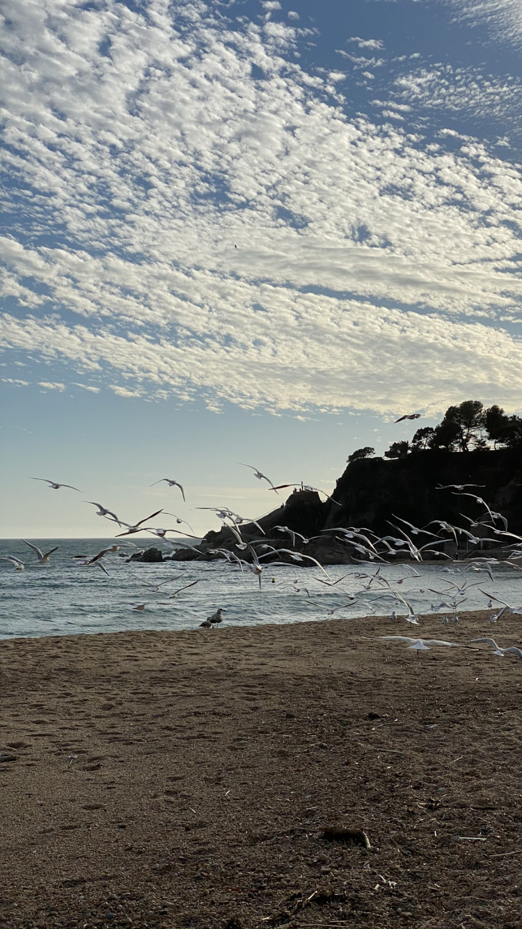 Mar, Agua, Playa, Cuerpo de Agua, Naturaleza. Wallpaper in 750x1334 Resolution