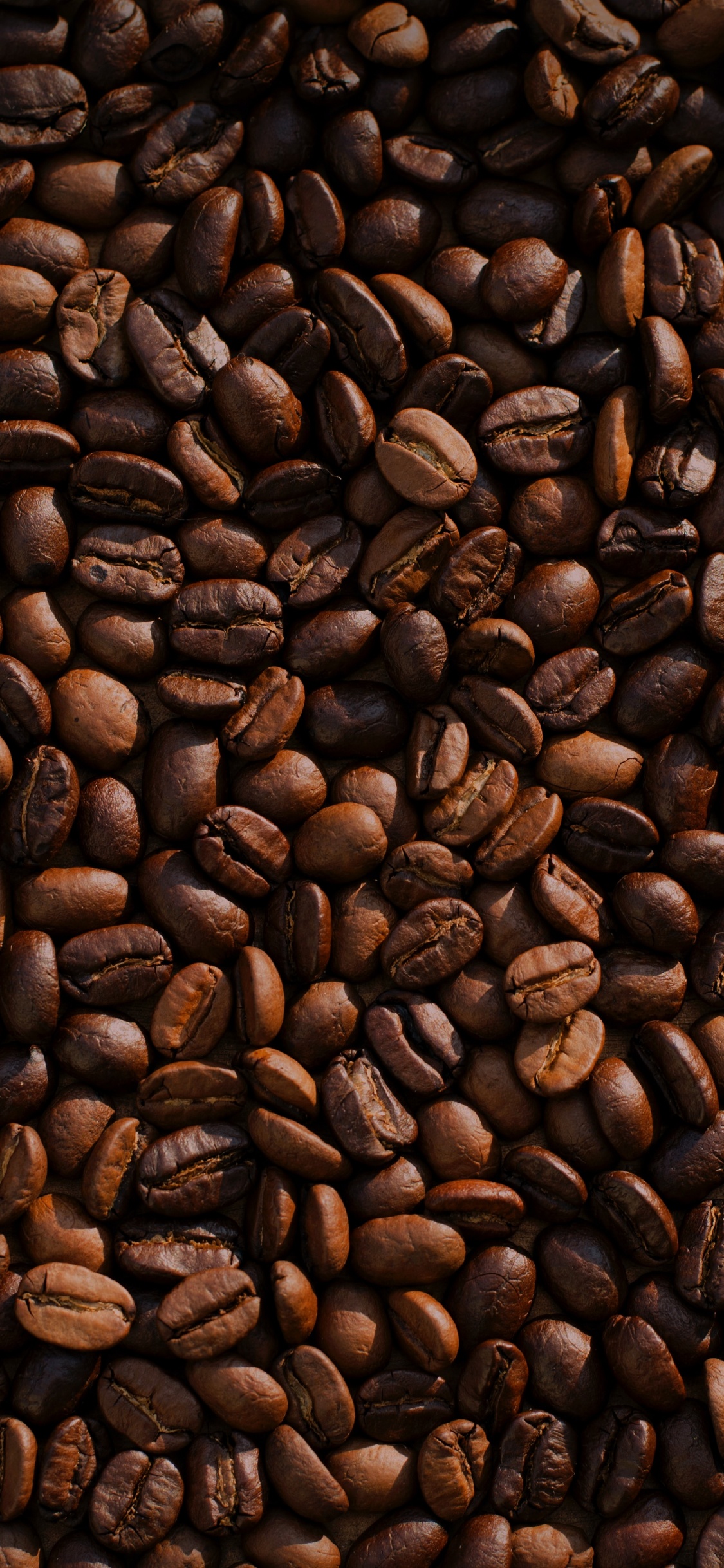 Café, Espresso, Café Instantáneo, Café Robusta, Café Tostado Oscuro. Wallpaper in 1125x2436 Resolution