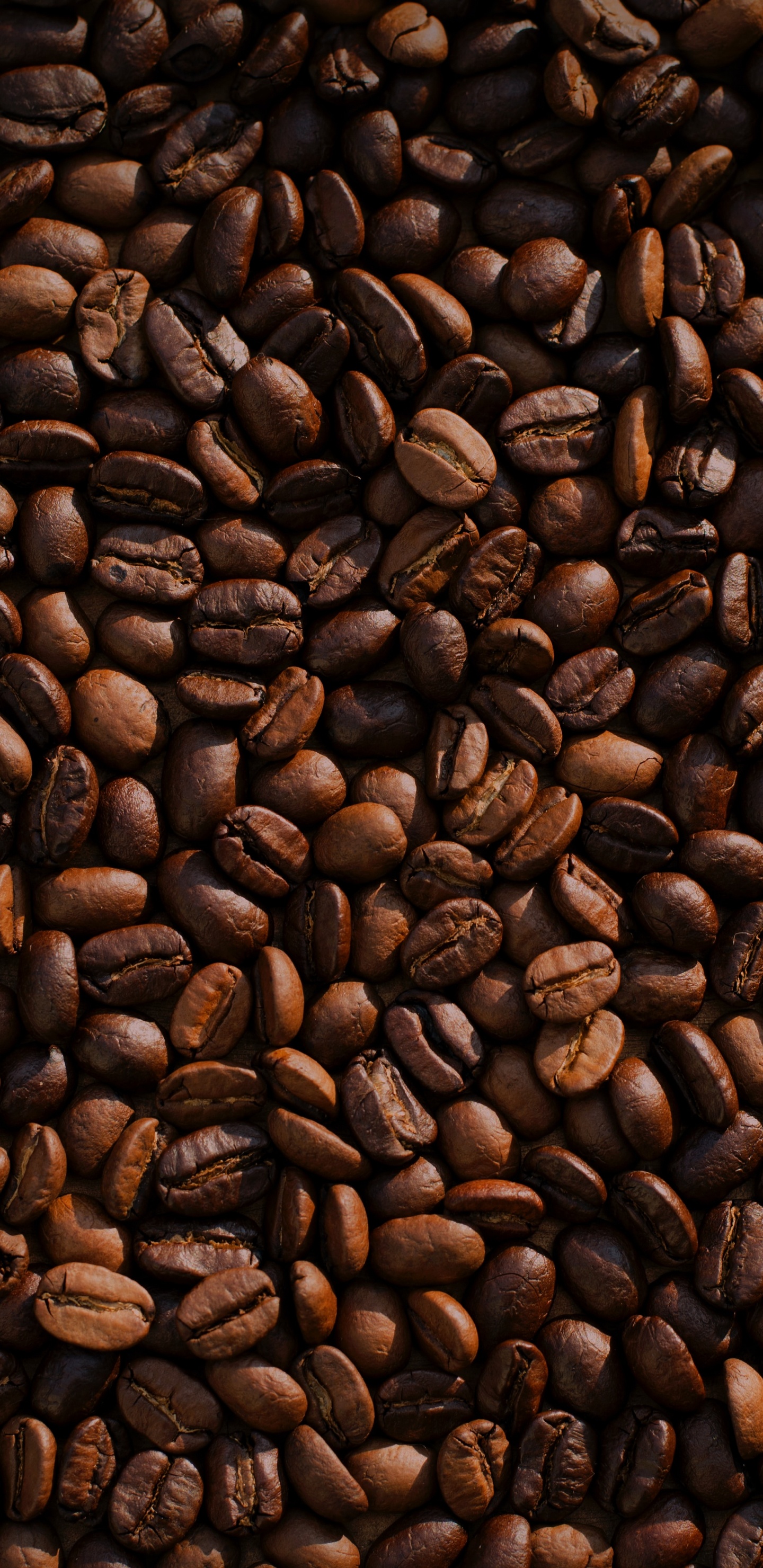 Coffee, Coffee Grounds, Espresso, Instant Coffee, Robusta Coffee. Wallpaper in 1440x2960 Resolution