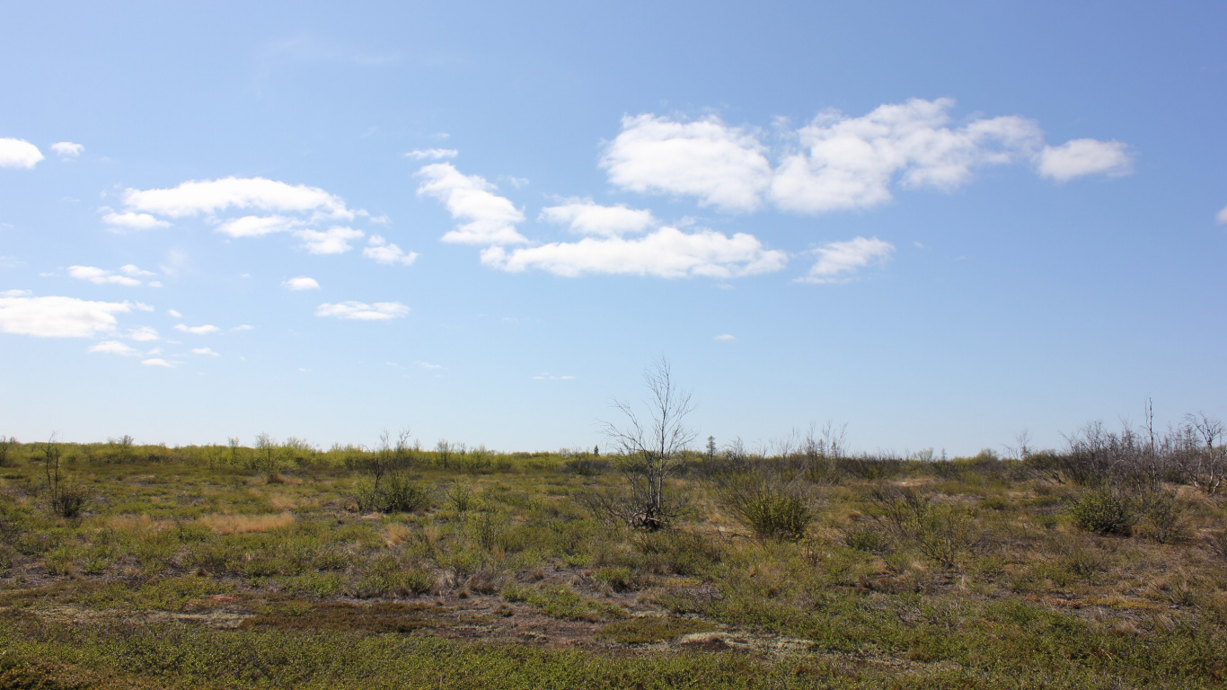 Green Grass Field Under Blue Sky During Daytime. Wallpaper in 1366x768 Resolution