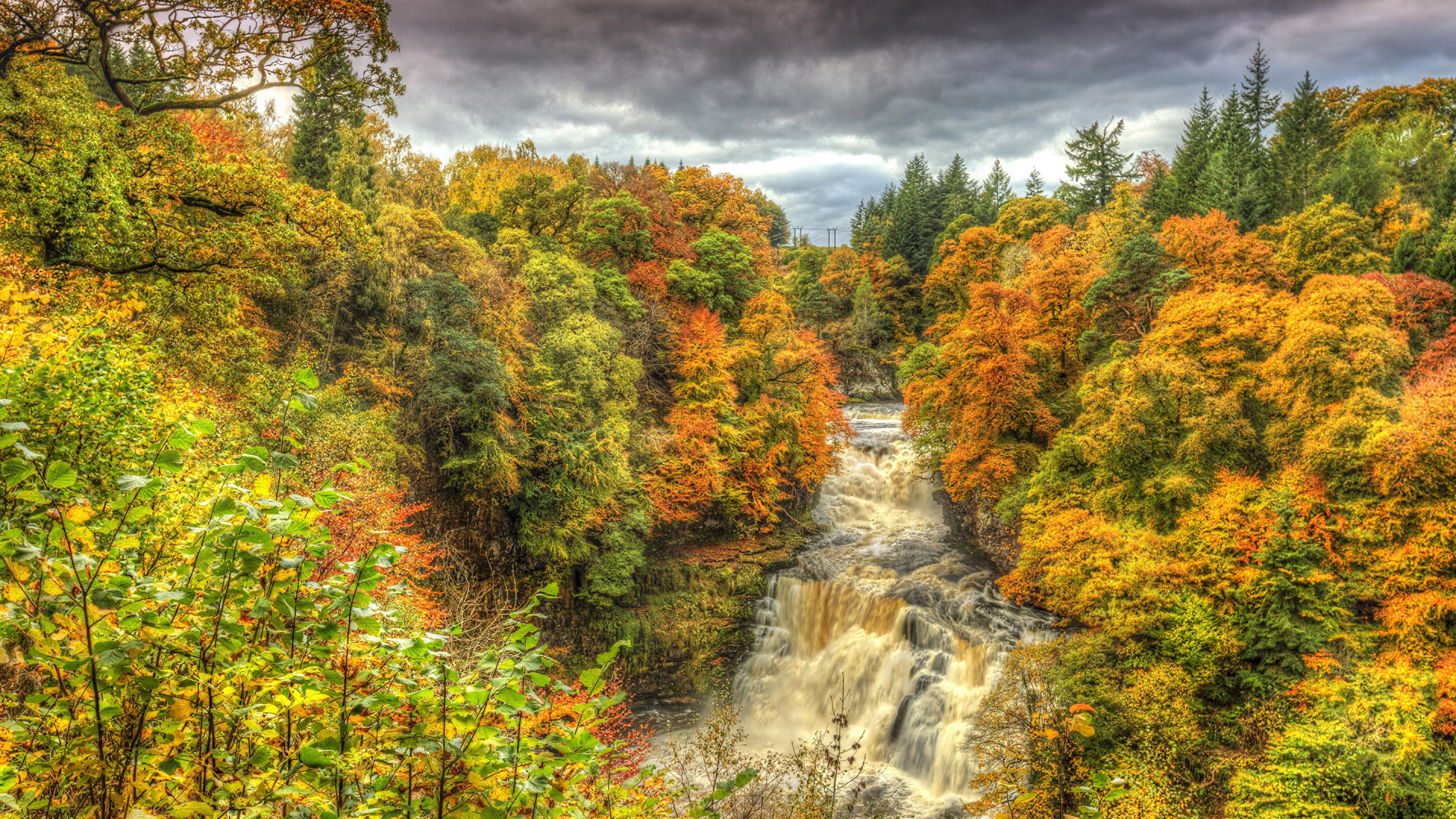 Green and Brown Trees Beside River Under Cloudy Sky During Daytime. Wallpaper in 1920x1080 Resolution