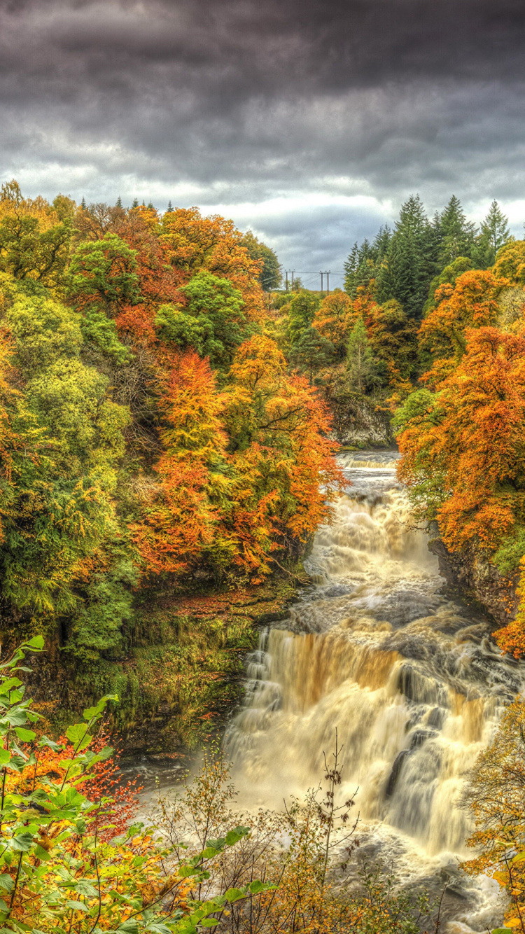 Green and Brown Trees Beside River Under Cloudy Sky During Daytime. Wallpaper in 750x1334 Resolution