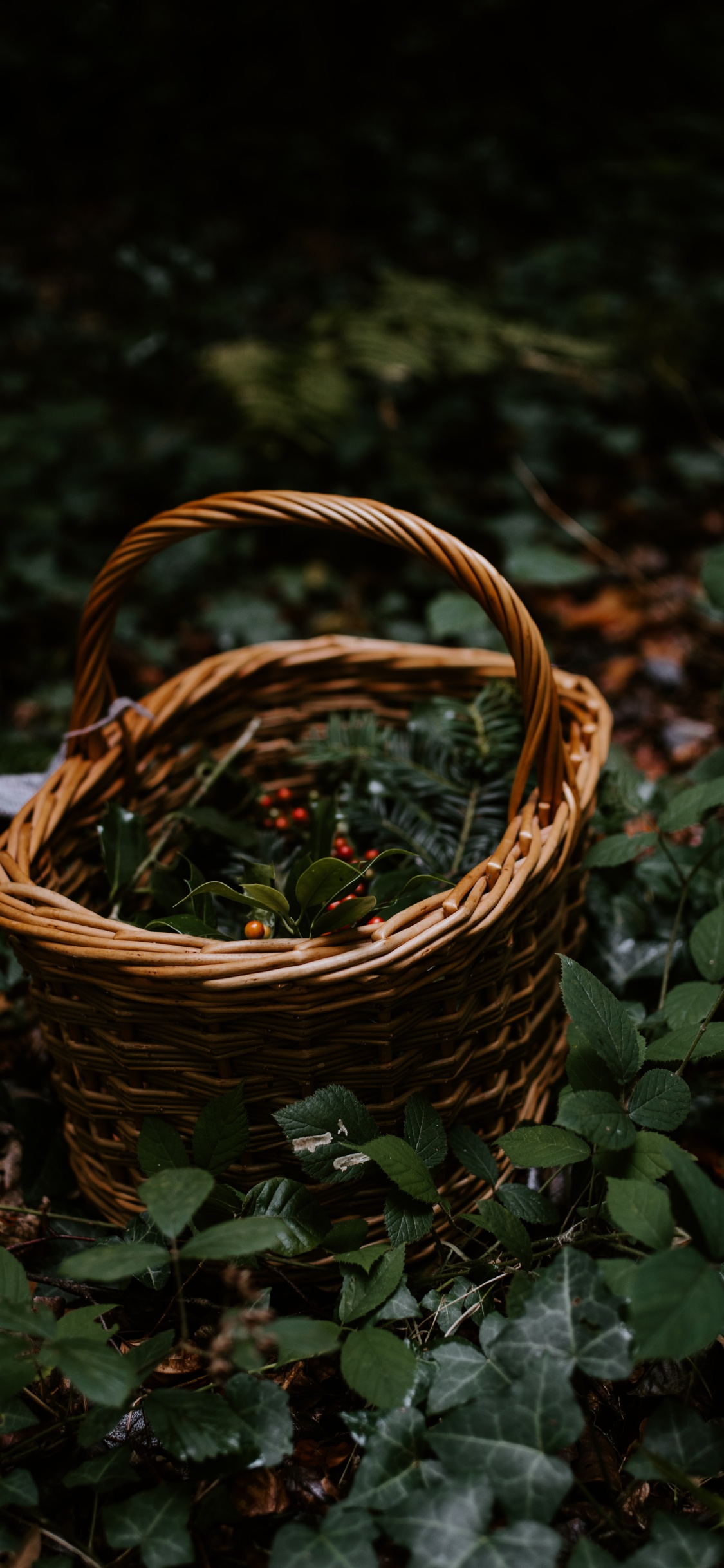 Panier Tressé Marron Sur Feuilles Vertes. Wallpaper in 1125x2436 Resolution