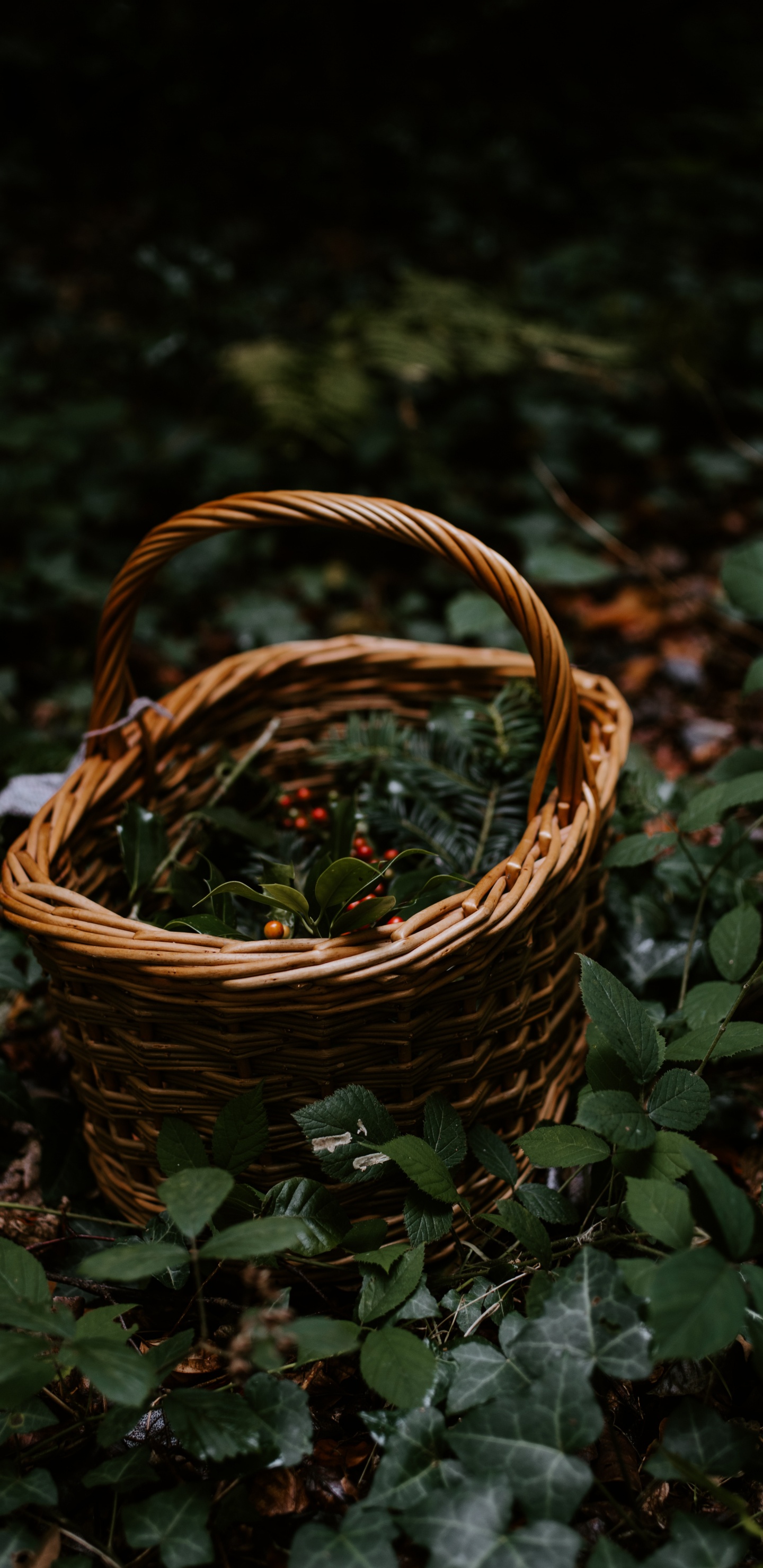 Panier Tressé Marron Sur Feuilles Vertes. Wallpaper in 1440x2960 Resolution