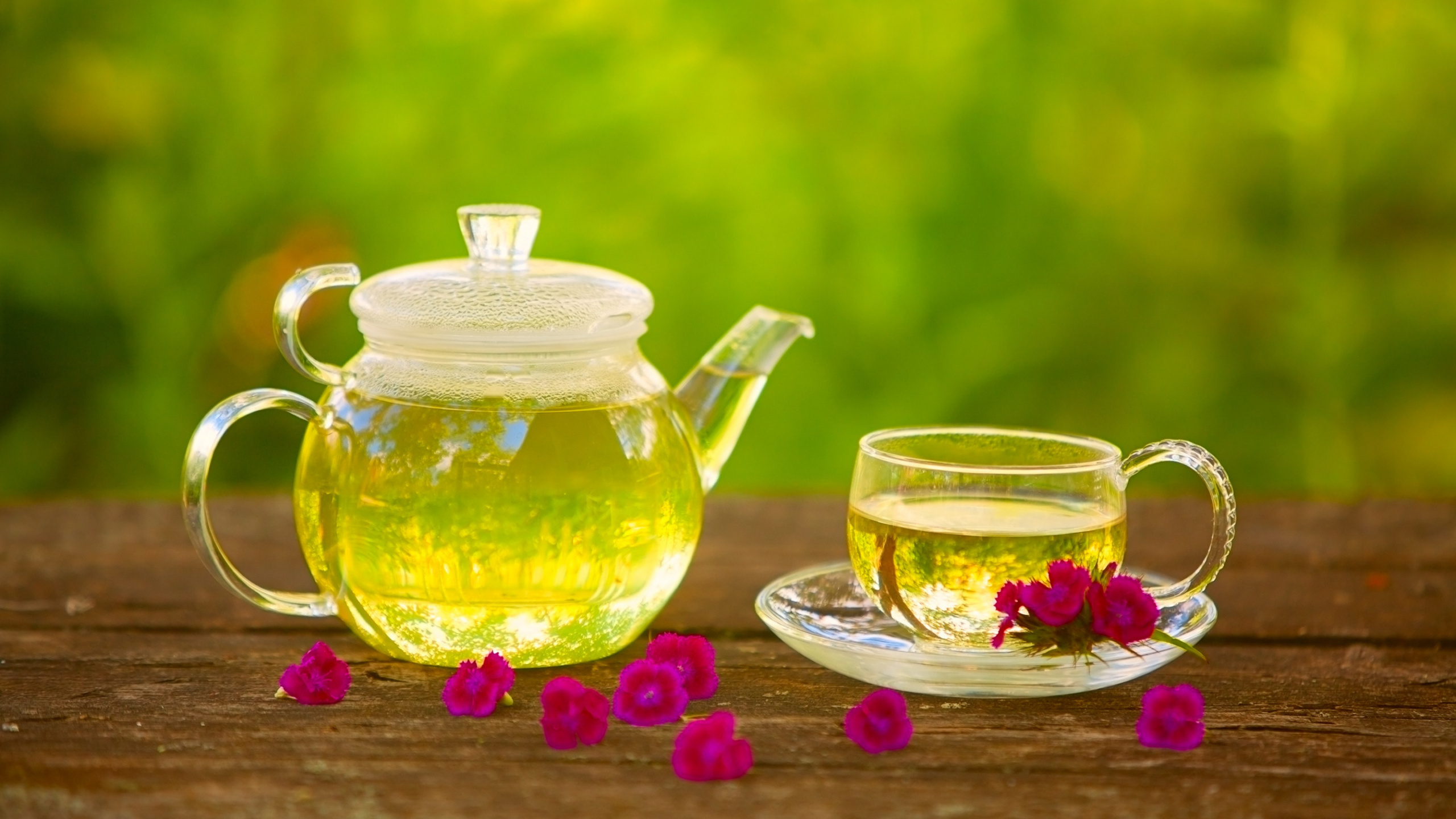 té Verde, Té, la Floración de Té, Platillo, Tazón. Wallpaper in 2560x1440 Resolution