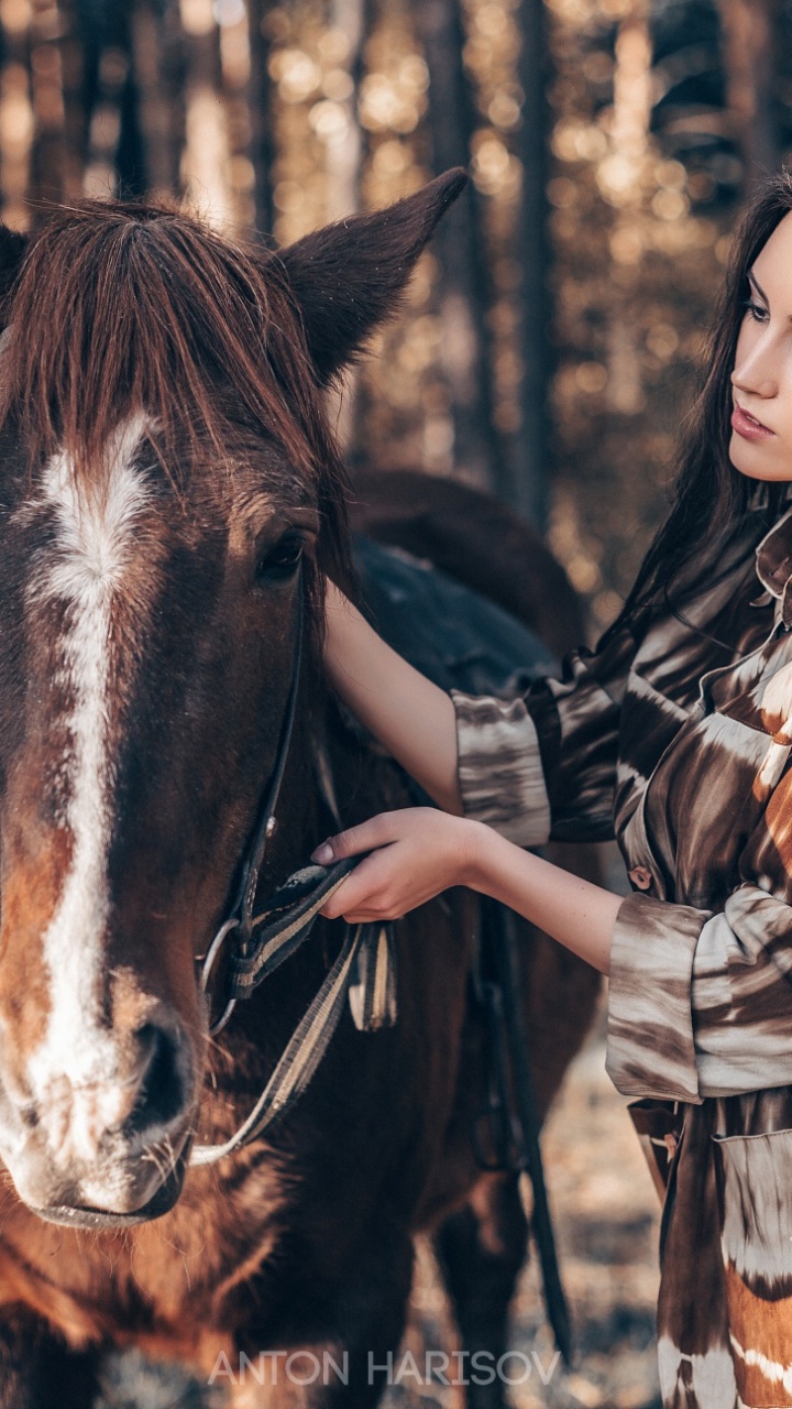 Beauty, Horse, Face, Head, Eye. Wallpaper in 720x1280 Resolution