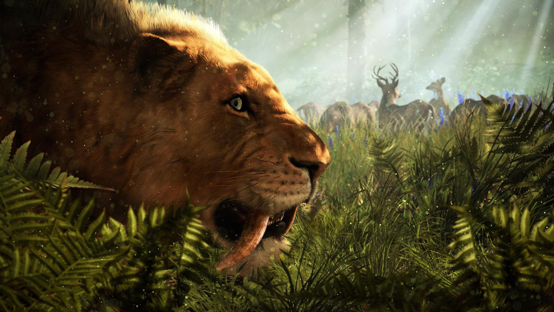 Brown Lion on Green Grass During Daytime. Wallpaper in 1920x1080 Resolution