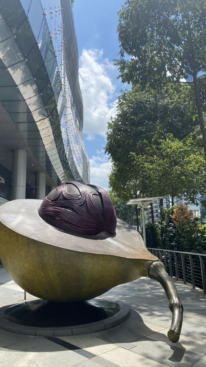 雕像, 旅游景点, 科学, 生物学, 雕塑 壁纸 720x1280 允许