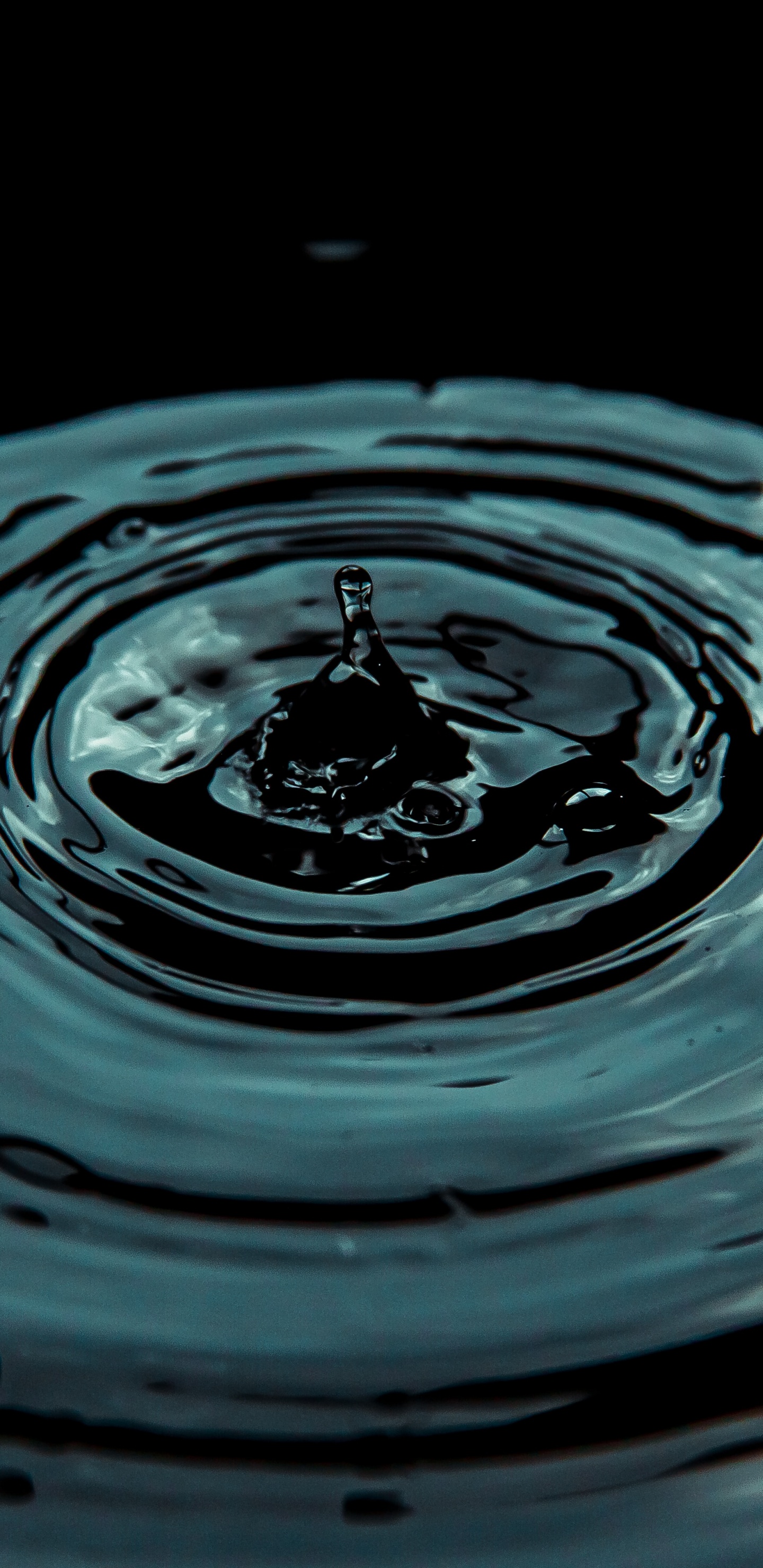 Circle Water, Drop, Water, Water Resources, Liquid. Wallpaper in 1440x2960 Resolution