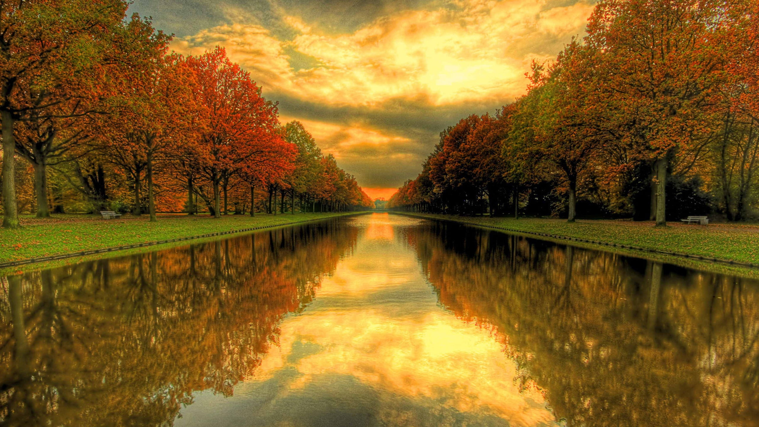 Grüne Bäume Neben Dem Fluss Unter Bewölktem Himmel Tagsüber. Wallpaper in 2560x1440 Resolution