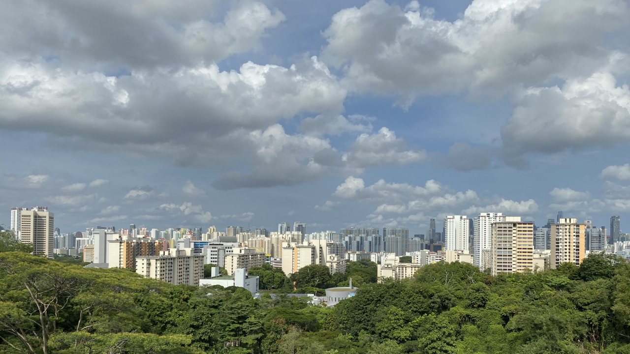 植被, 性质, 塔块, 街区, 城市 壁纸 1280x720 允许