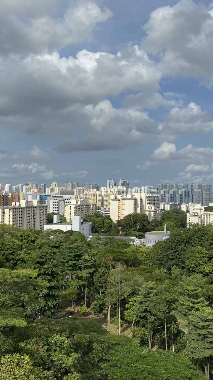 植被, 性质, 塔块, 街区, 城市 壁纸 720x1280 允许