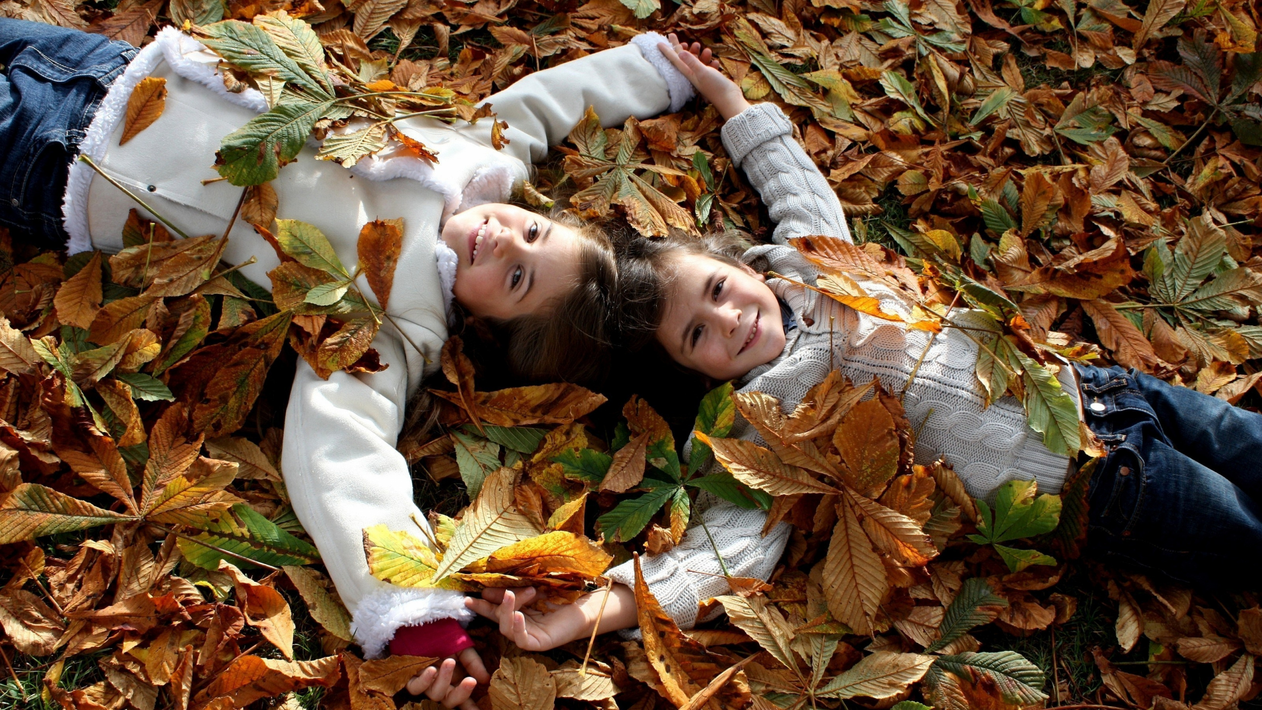 Autumn, Tree, Leaves, Friendship, Child. Wallpaper in 2560x1440 Resolution