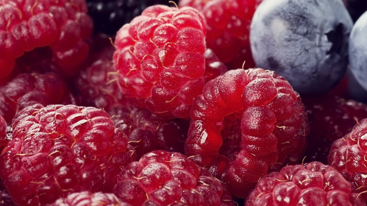 Berry, Blackberry, Himbeere, Blueberry, Rote Himbeere. Wallpaper in 1280x720 Resolution
