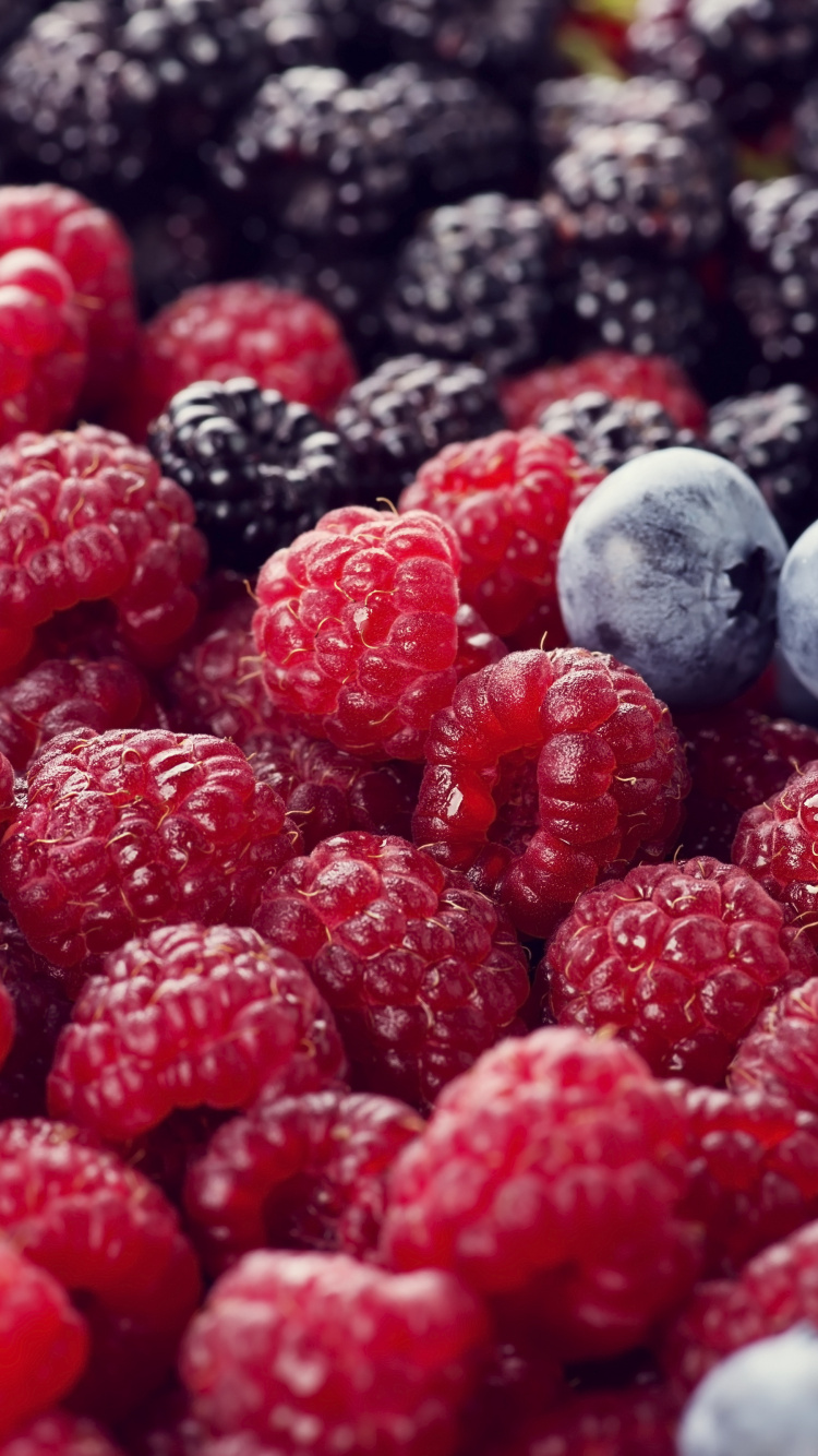 Berry, Blackberry, Himbeere, Blueberry, Rote Himbeere. Wallpaper in 750x1334 Resolution