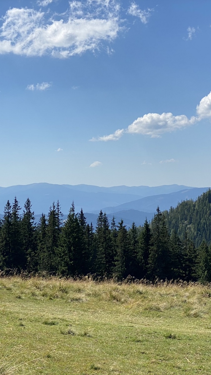 Grassland, Nature, Vegetation, Natural Environment, Natural Landscape. Wallpaper in 720x1280 Resolution