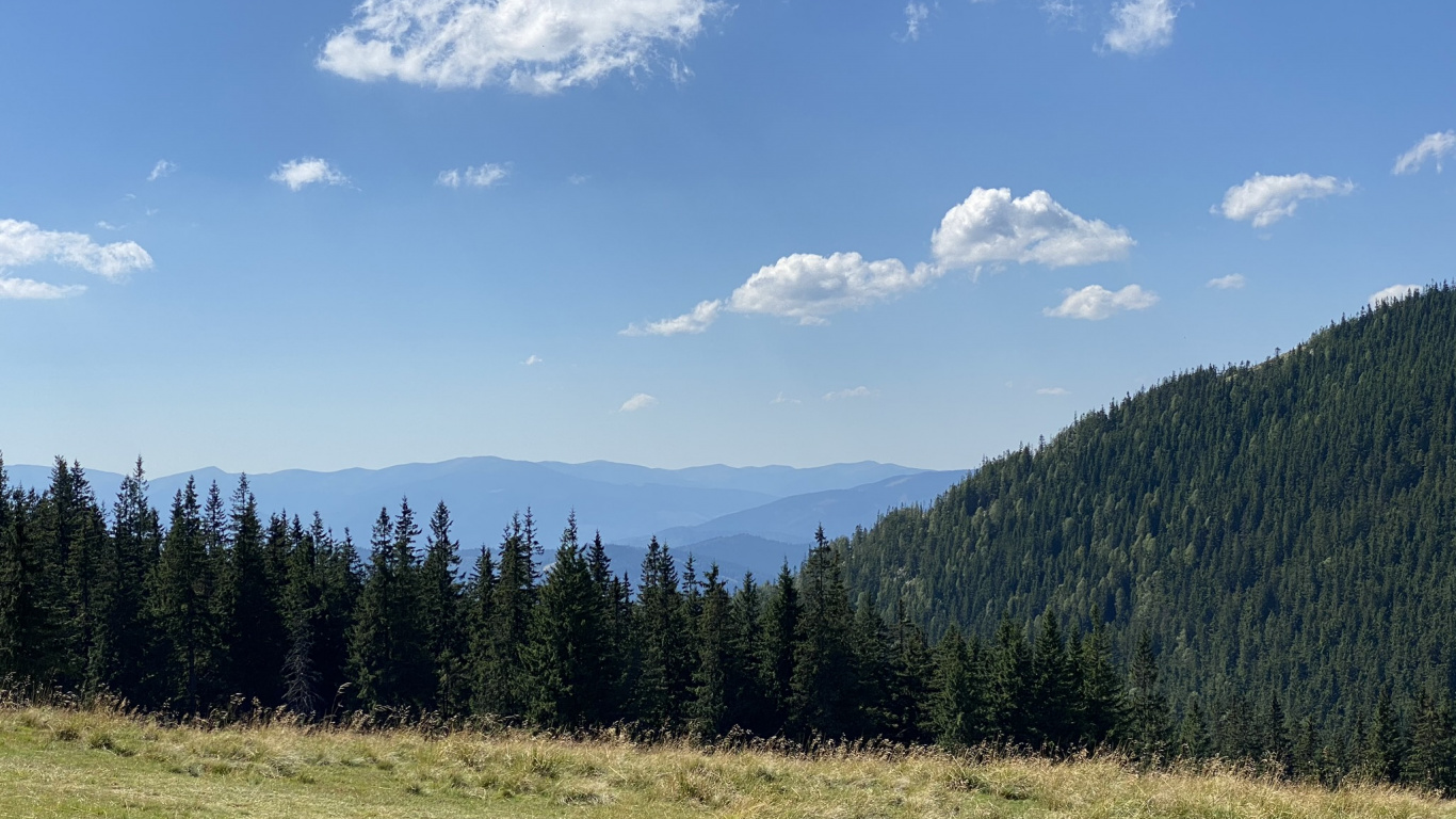 Prairie, Nature, Végétation, Environnement Naturel, Paysage Naturel. Wallpaper in 1366x768 Resolution