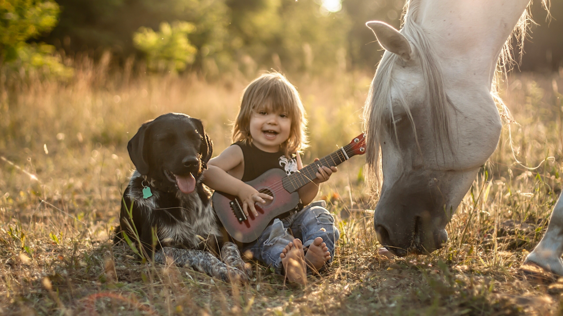 Horse, Child, Fun, Grass, Pasture. Wallpaper in 1920x1080 Resolution