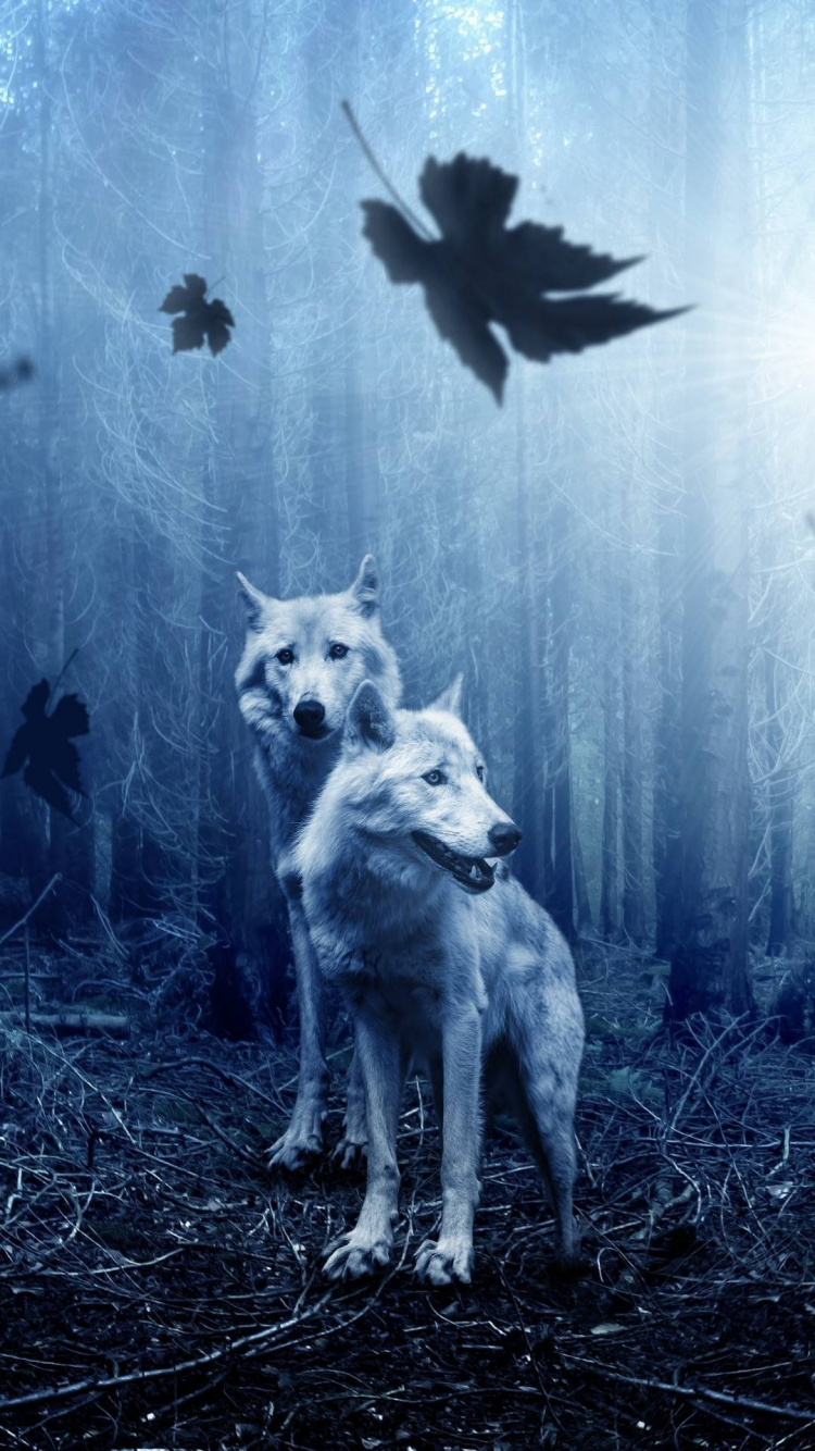 Wolf, Dog, Atmosphere, Plant, Nature. Wallpaper in 750x1334 Resolution