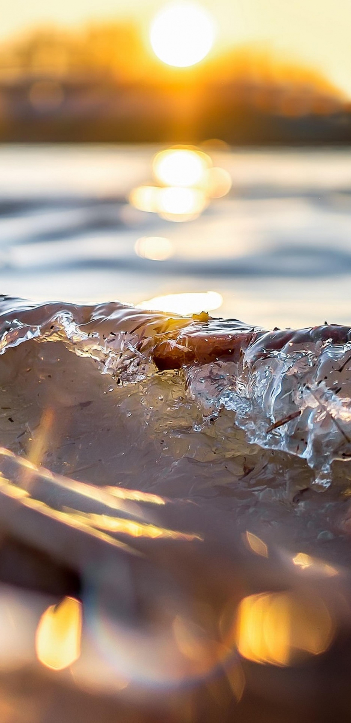 日落, 气氛, 液体, 光, 琥珀色 壁纸 1440x2960 允许