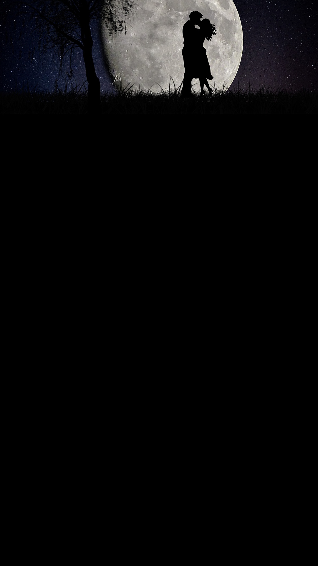 Noir et Blanc, Pleine Lune, Nuit, Nature, L'homme. Wallpaper in 1080x1920 Resolution