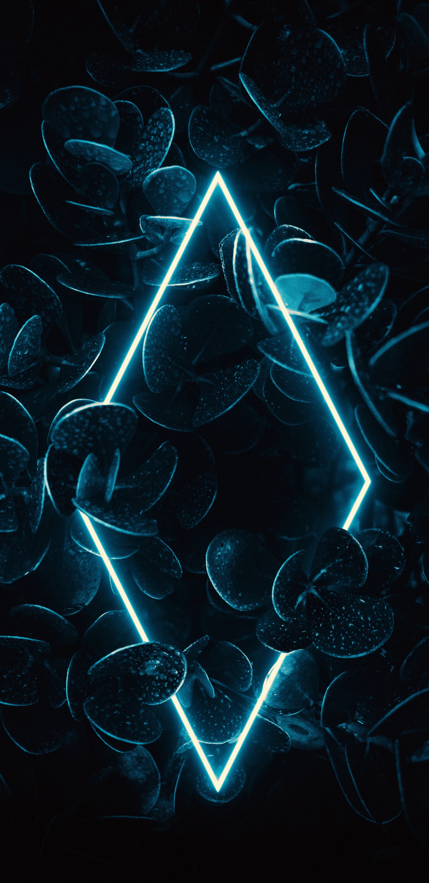 Arte Fractal, Agua, Azure, Arte, Aqua. Wallpaper in 1440x2960 Resolution