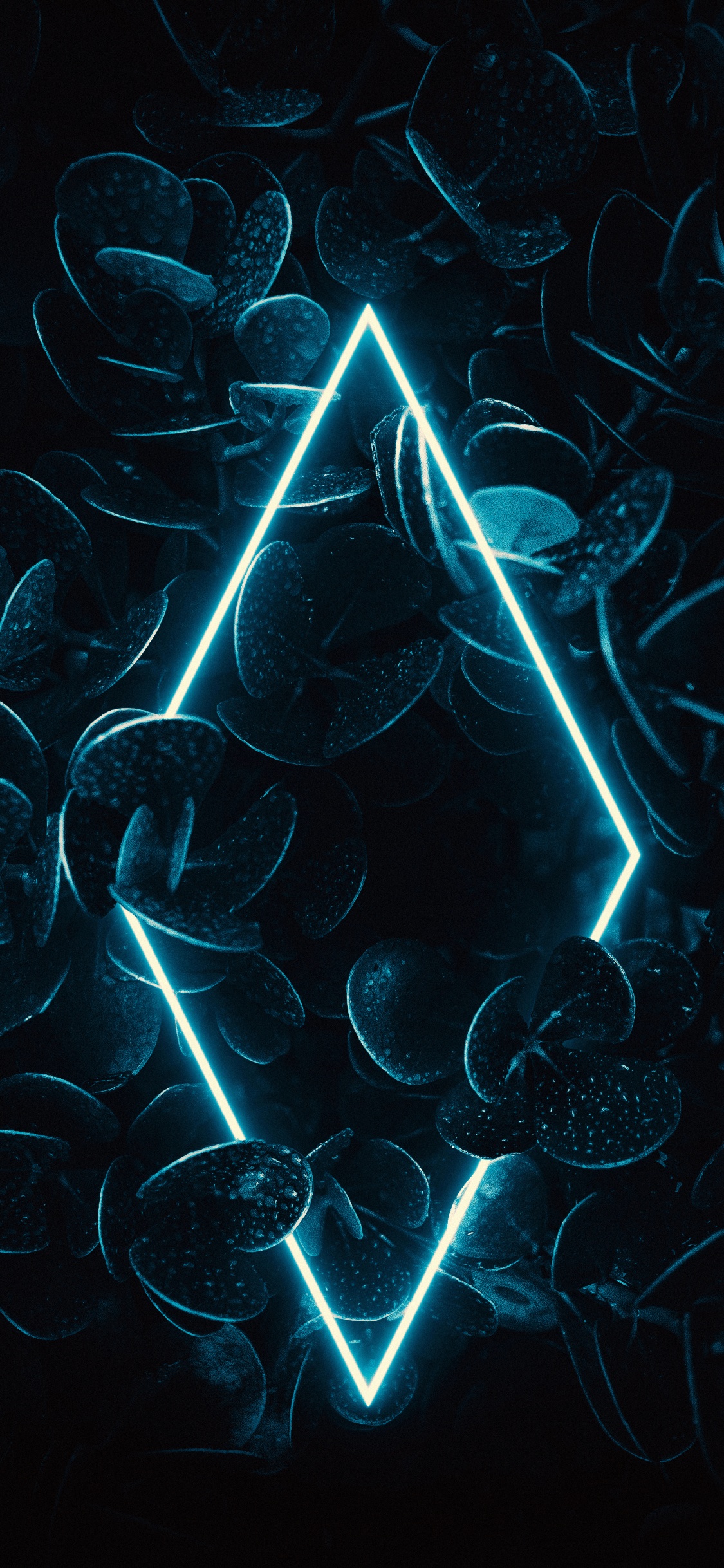 Fraktale Kunst, Wasser, Azure, Kunst, Aqua. Wallpaper in 1125x2436 Resolution