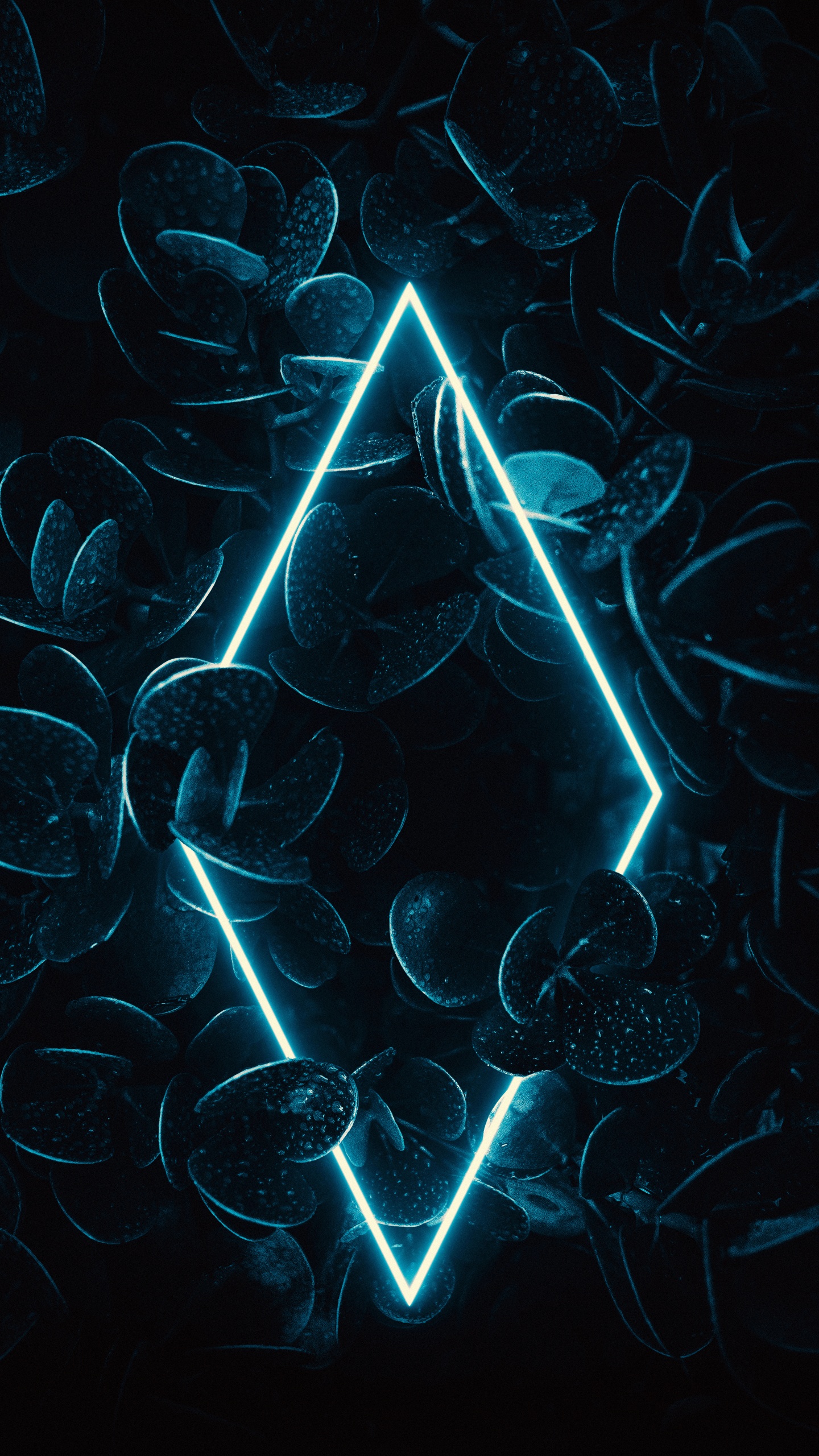 Fraktale Kunst, Wasser, Azure, Kunst, Aqua. Wallpaper in 1440x2560 Resolution