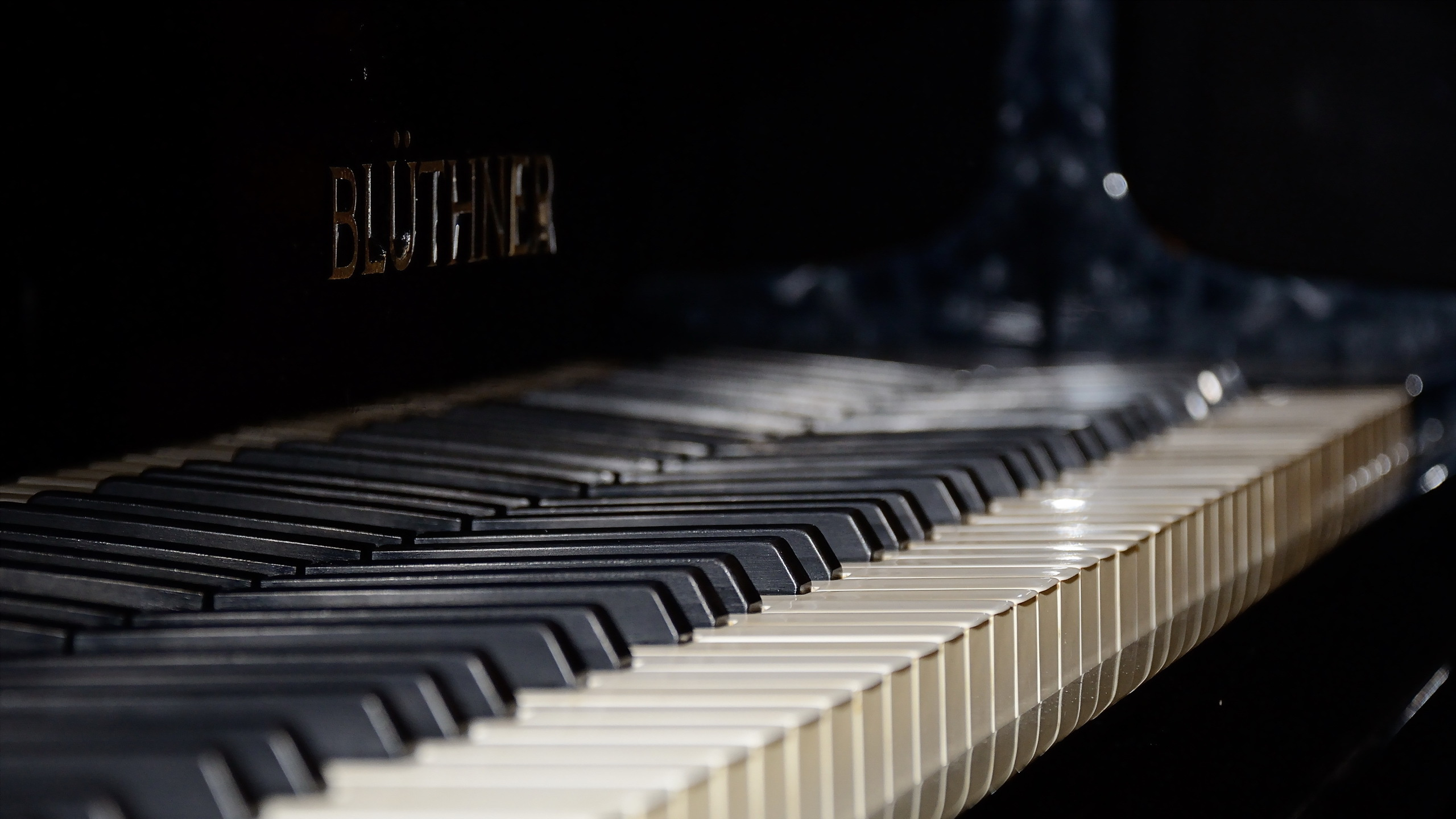 Piano, Teclado, Grand Piano, Teclado Musical, Instrumento Musical. Wallpaper in 2560x1440 Resolution