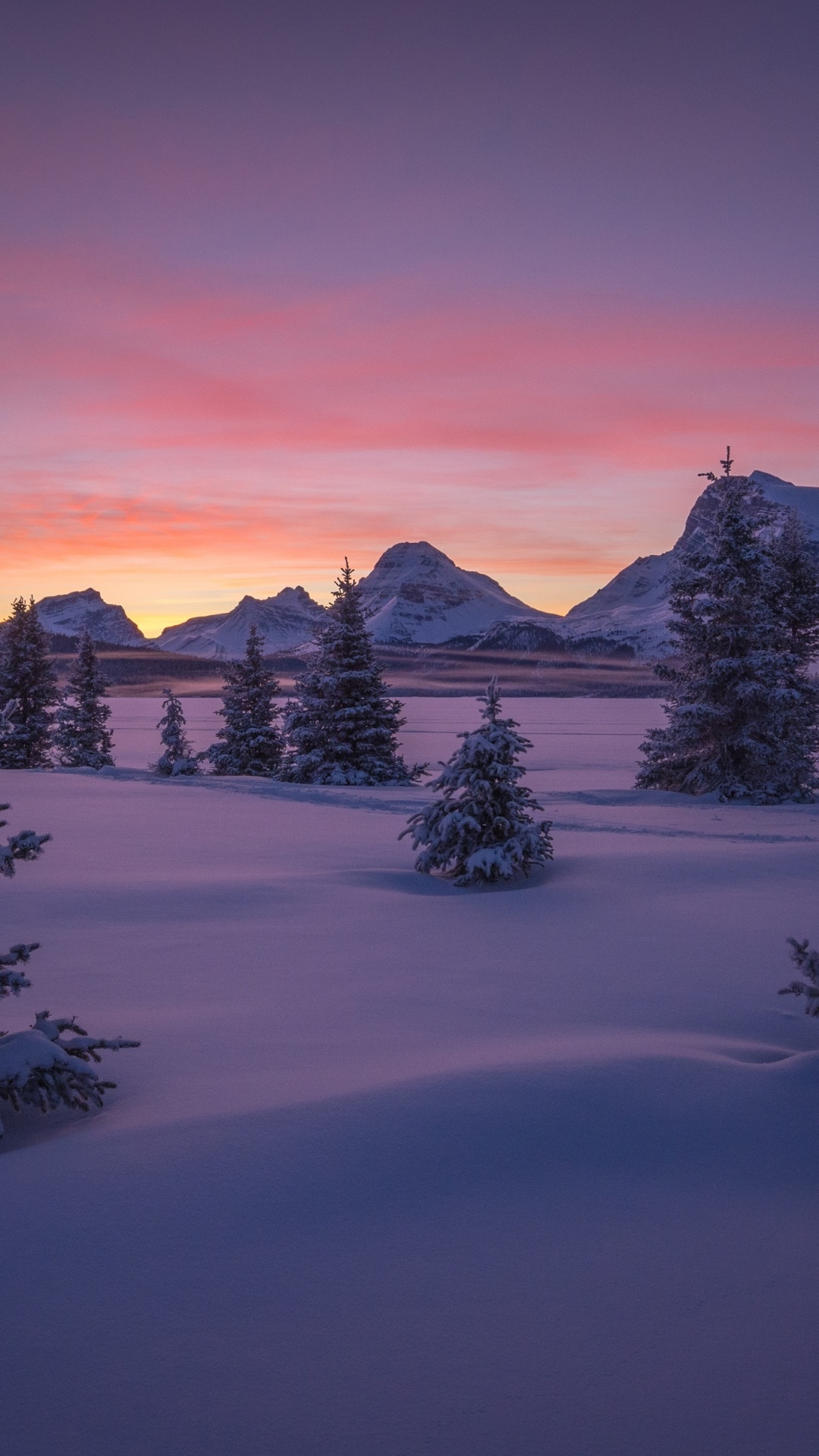 Montaña Cubierta de Nieve Durante el Día. Wallpaper in 1080x1920 Resolution