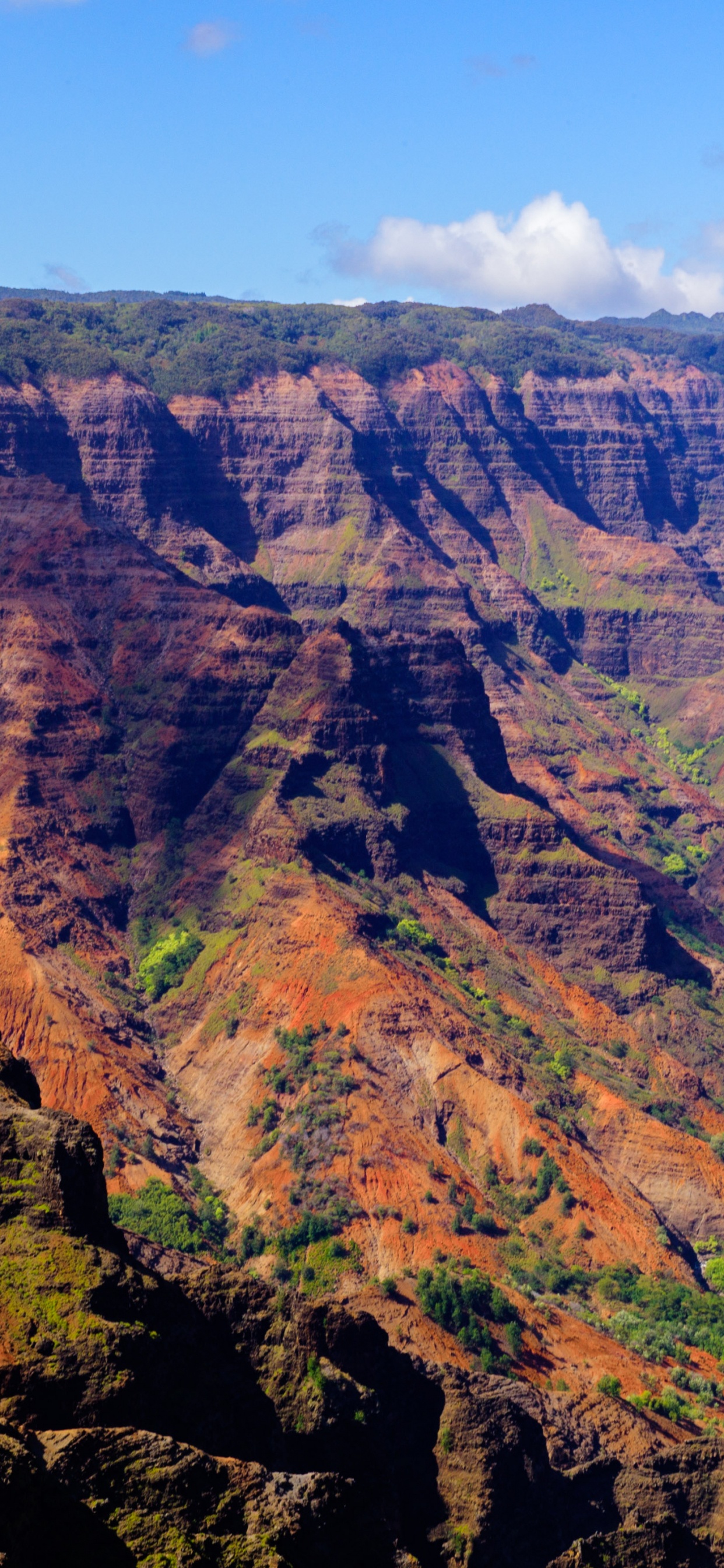Brown and Green Mountain Under Blue Sky During Daytime. Wallpaper in 1242x2688 Resolution