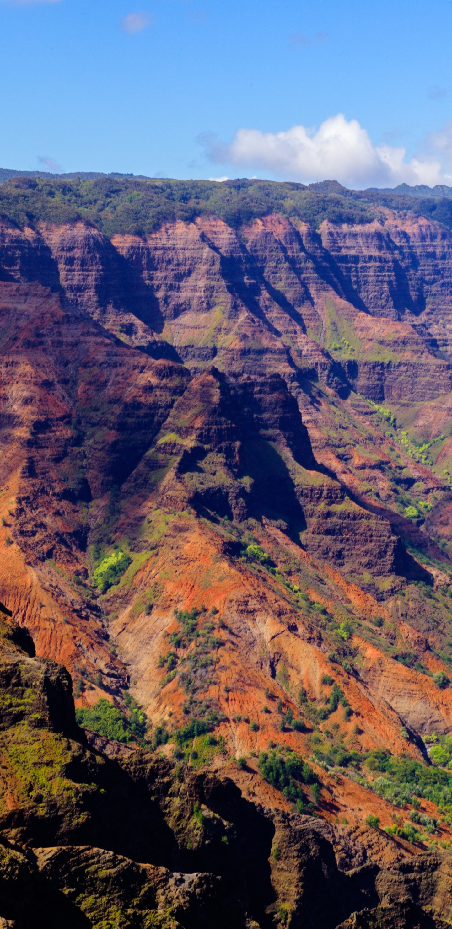 Tagsüber Brauner Und Grüner Berg Unter Blauem Himmel. Wallpaper in 1440x2960 Resolution