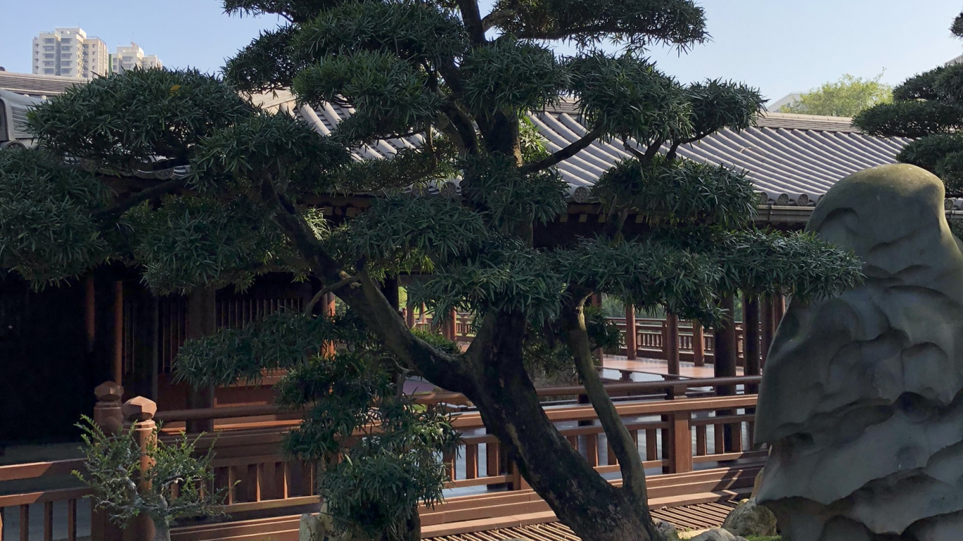 Hongkong, Biome, Biologie, Wissenschaft, Ökologie. Wallpaper in 1366x768 Resolution