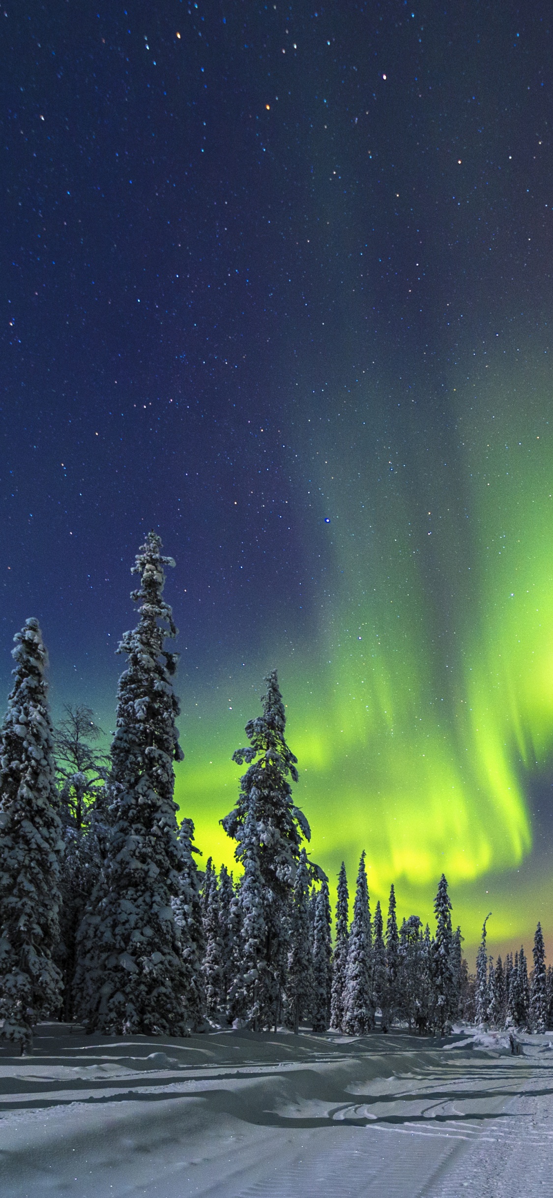 Green Aurora Lights Over Snow Covered Road During Night Time. Wallpaper in 1125x2436 Resolution