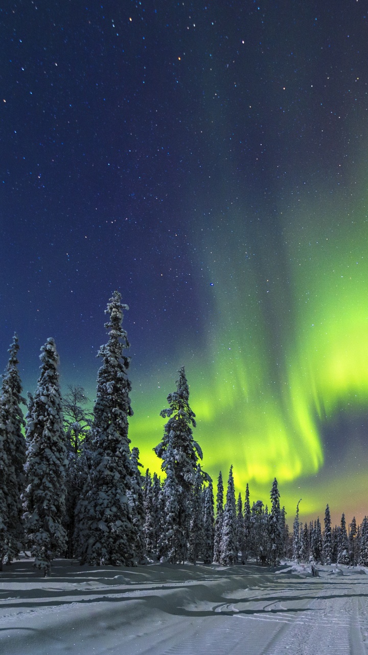 Les Aurores Vertes S'allument Sur la Route Couverte de Neige Pendant la Nuit. Wallpaper in 720x1280 Resolution