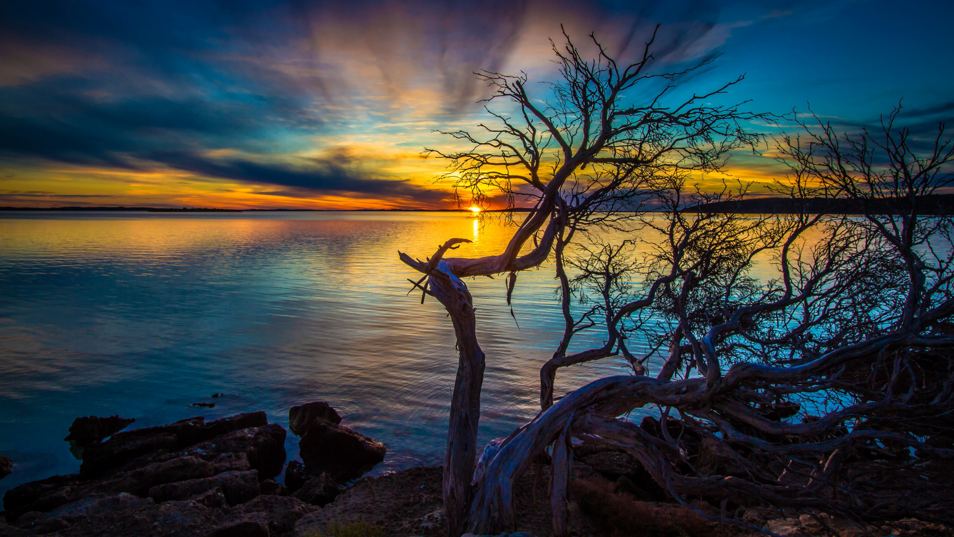Árbol Desnudo Cerca Del Cuerpo de Agua Durante la Puesta de Sol. Wallpaper in 1920x1080 Resolution