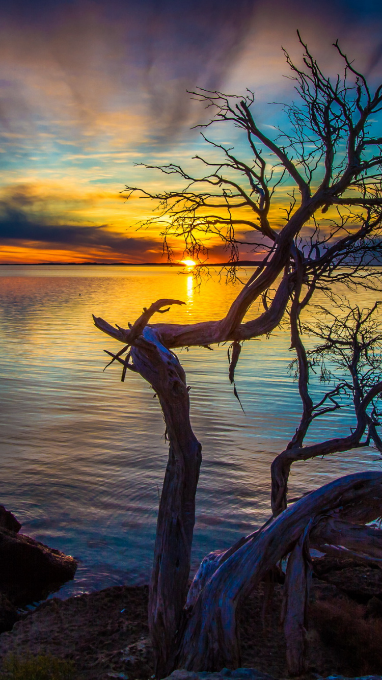 日落, 澳大利亚, 性质, 日出, 地平线 壁纸 750x1334 允许