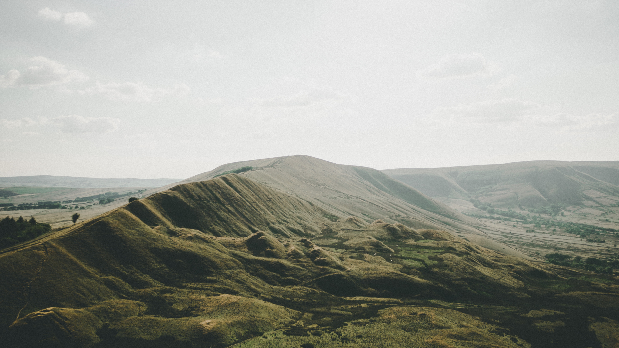 Grassland, Steppe, Atmosphere, Cloud, Plant. Wallpaper in 2560x1440 Resolution