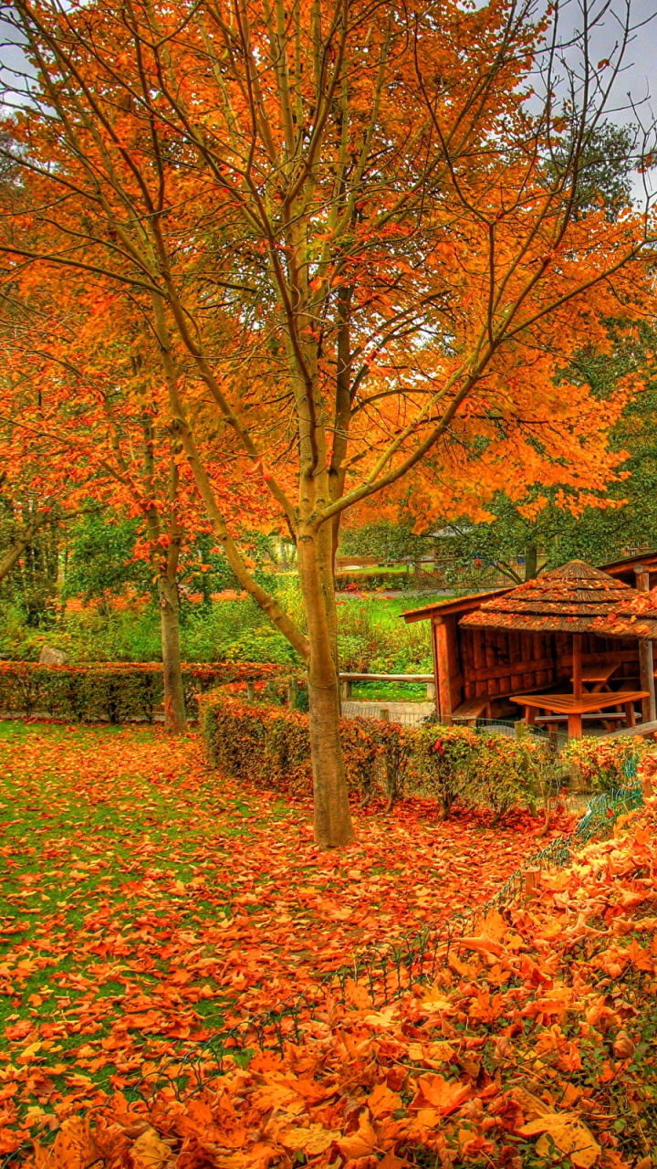 Braunes Holzhaus Tagsüber Von Bäumen Umgeben. Wallpaper in 720x1280 Resolution