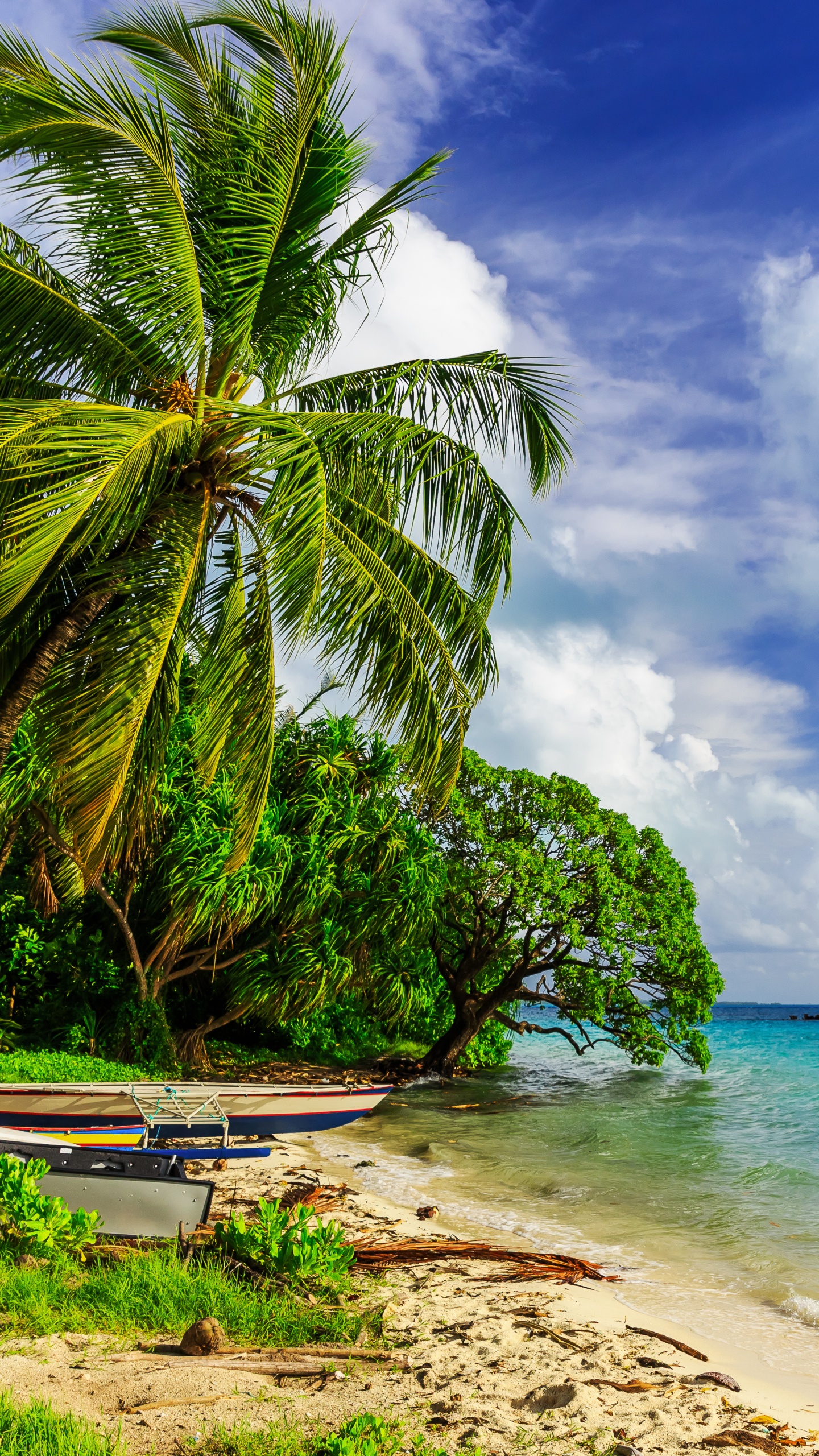 White and Blue Boat on Beach During Daytime. Wallpaper in 1440x2560 Resolution