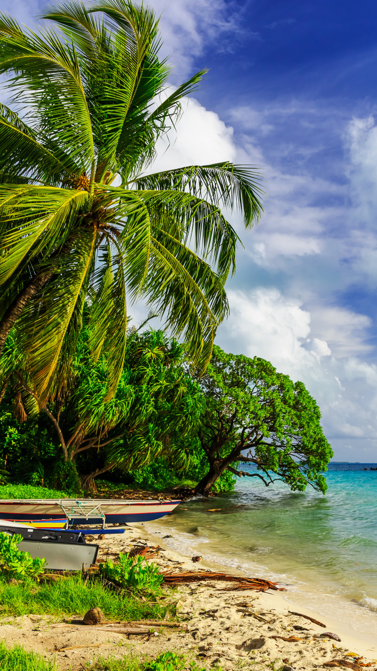 White and Blue Boat on Beach During Daytime. Wallpaper in 750x1334 Resolution