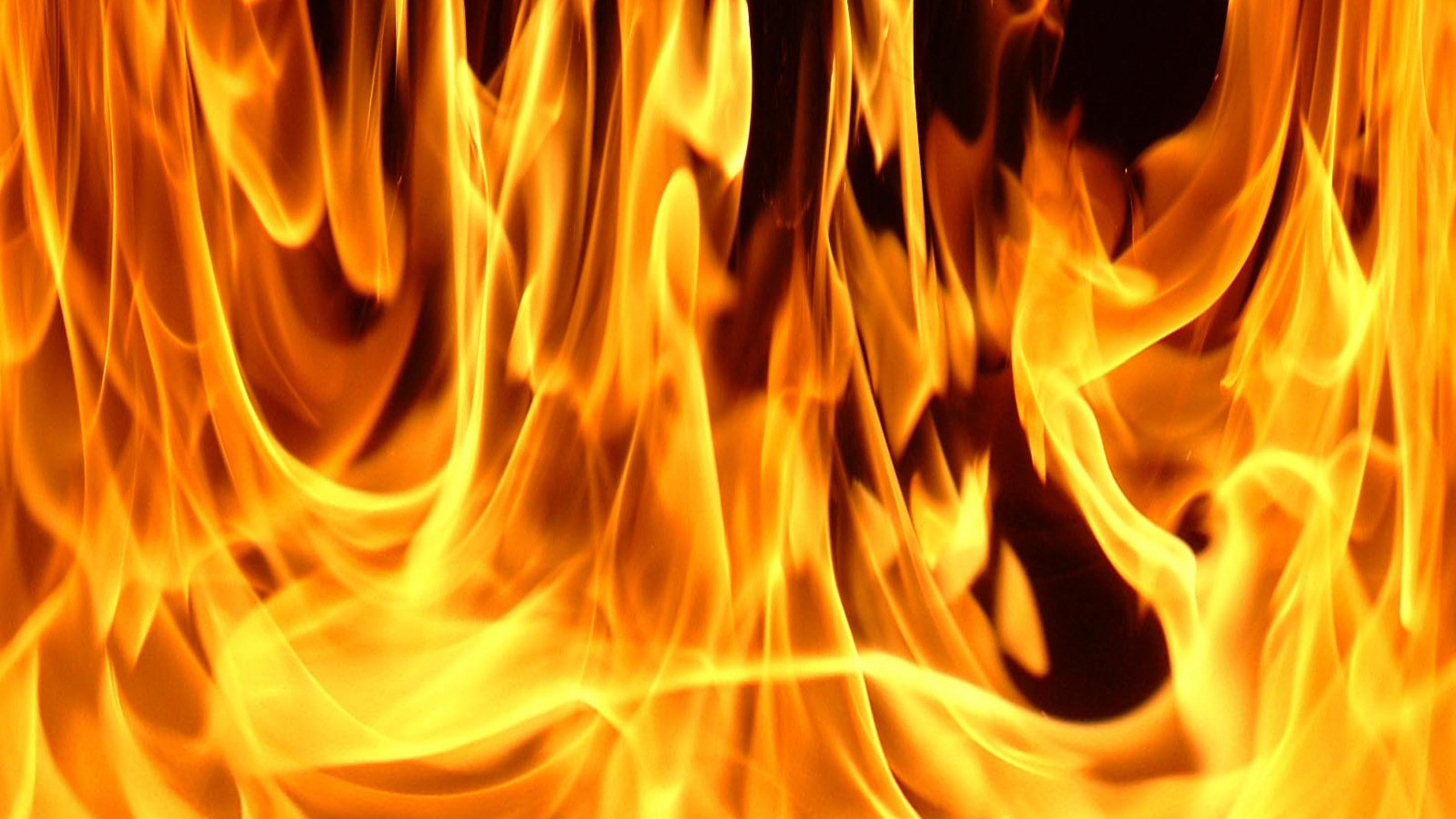 Peinture Abstraite Orange et Noire. Wallpaper in 2560x1440 Resolution