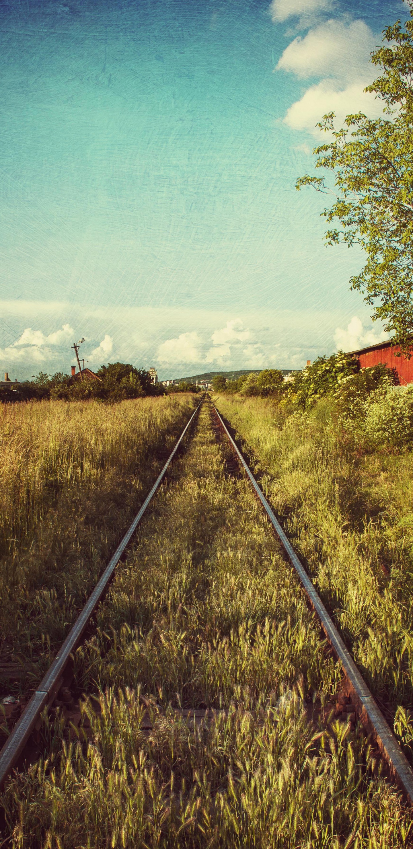 Spur, Schienenverkehr, Bahnstrecke, Gras, Eleznin Tra. Wallpaper in 1440x2960 Resolution