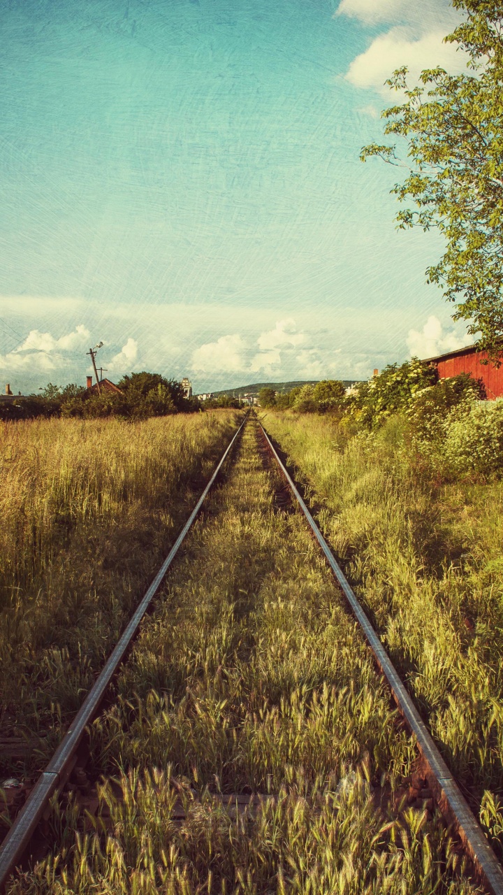 Spur, Schienenverkehr, Bahnstrecke, Gras, Eleznin Tra. Wallpaper in 720x1280 Resolution