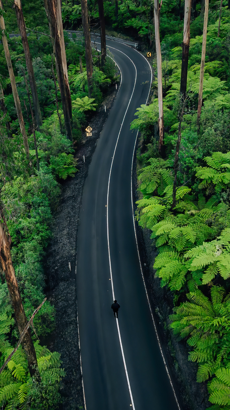 Naturaleza, la Comunidad Vegetal, Ecorregión, Paisaje Natural, Infraestructura. Wallpaper in 750x1334 Resolution