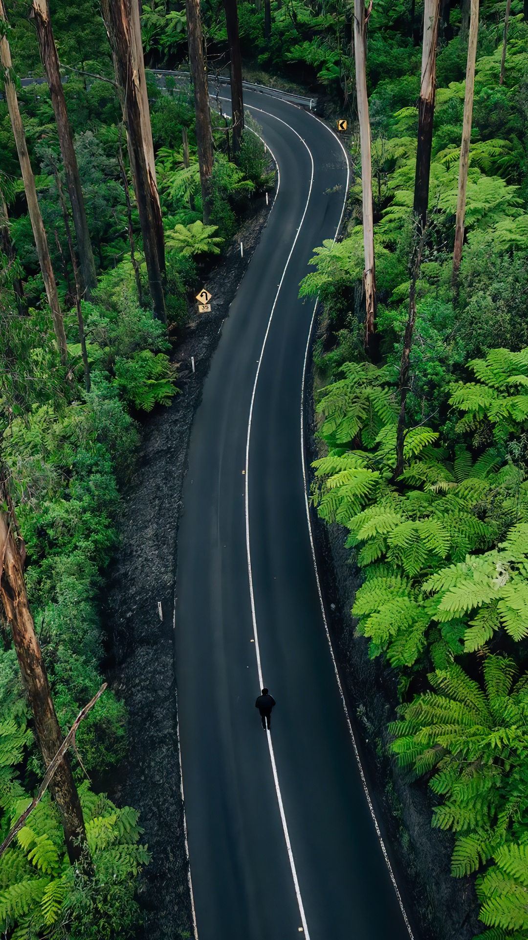 Nature, Plant, Plant Community, Ecoregion, Natural Landscape. Wallpaper in 1080x1920 Resolution