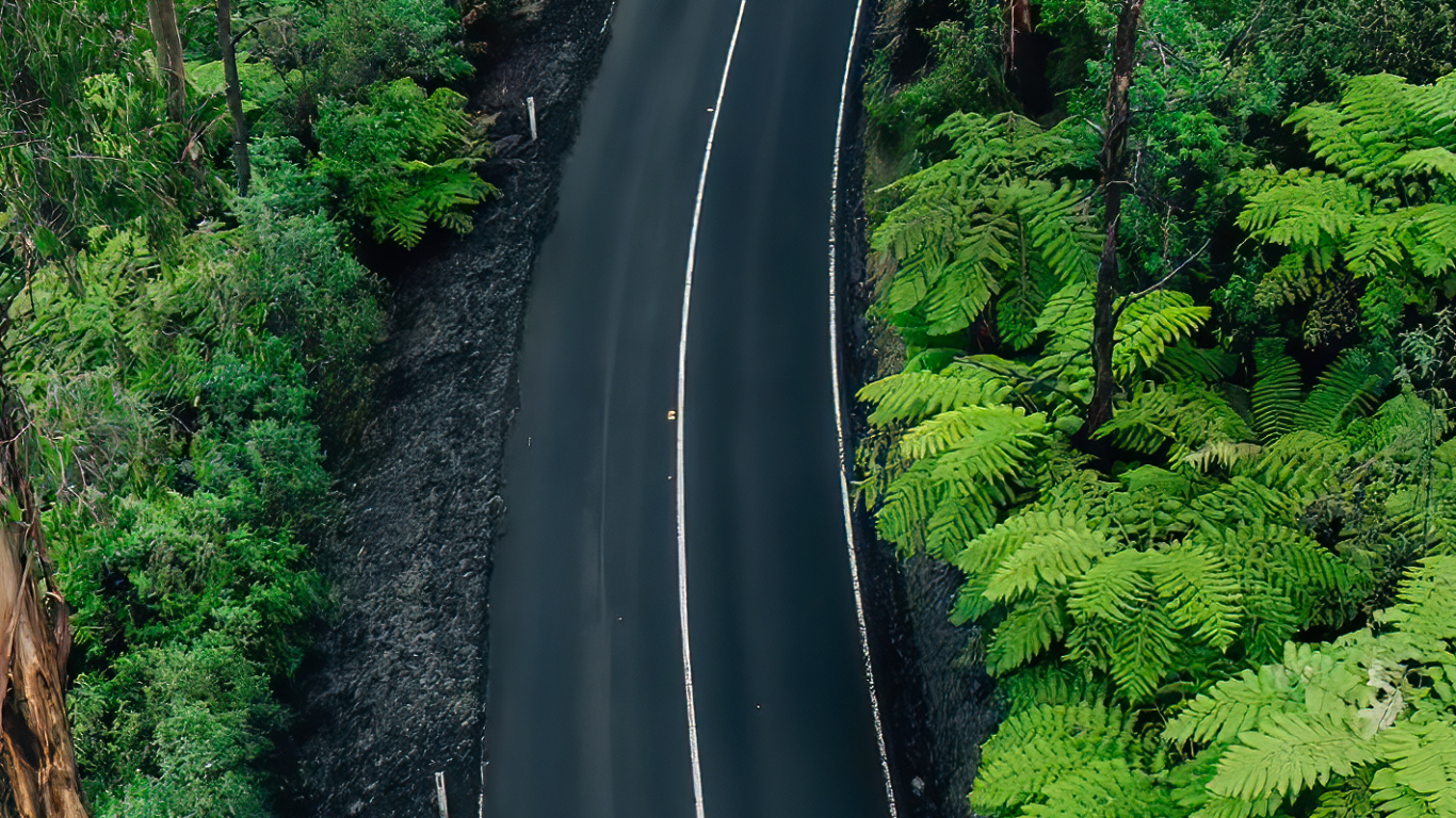 Nature, Plant, Plant Community, Ecoregion, Natural Landscape. Wallpaper in 1366x768 Resolution