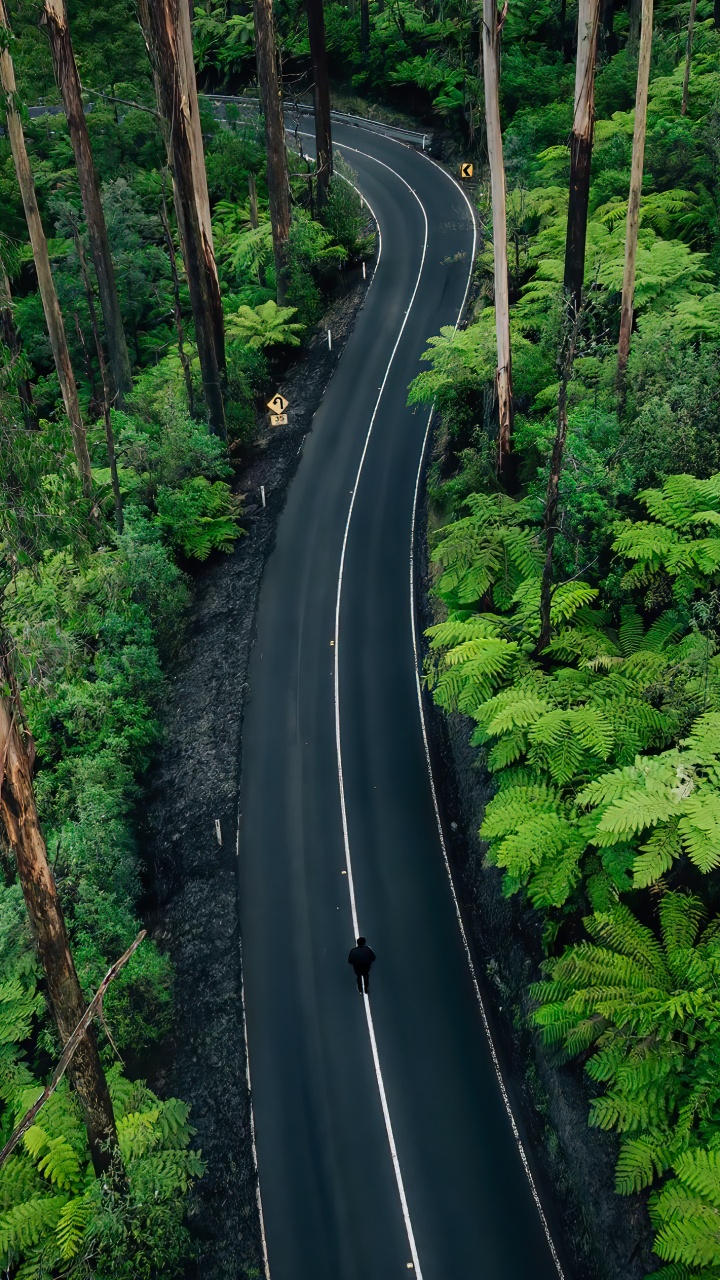 Nature, Plant, Plant Community, Ecoregion, Natural Landscape. Wallpaper in 720x1280 Resolution