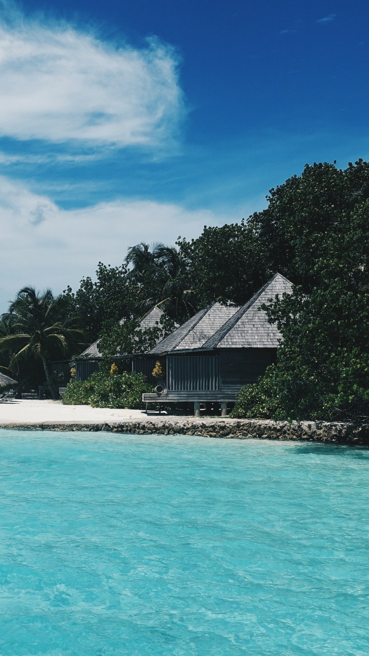 Maison Blanche et Brune Sur la Plage Pendant la Journée. Wallpaper in 720x1280 Resolution