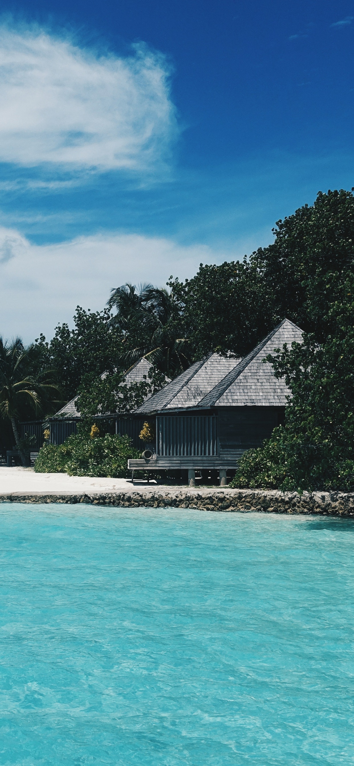 White and Brown House on Beach During Daytime. Wallpaper in 1242x2688 Resolution
